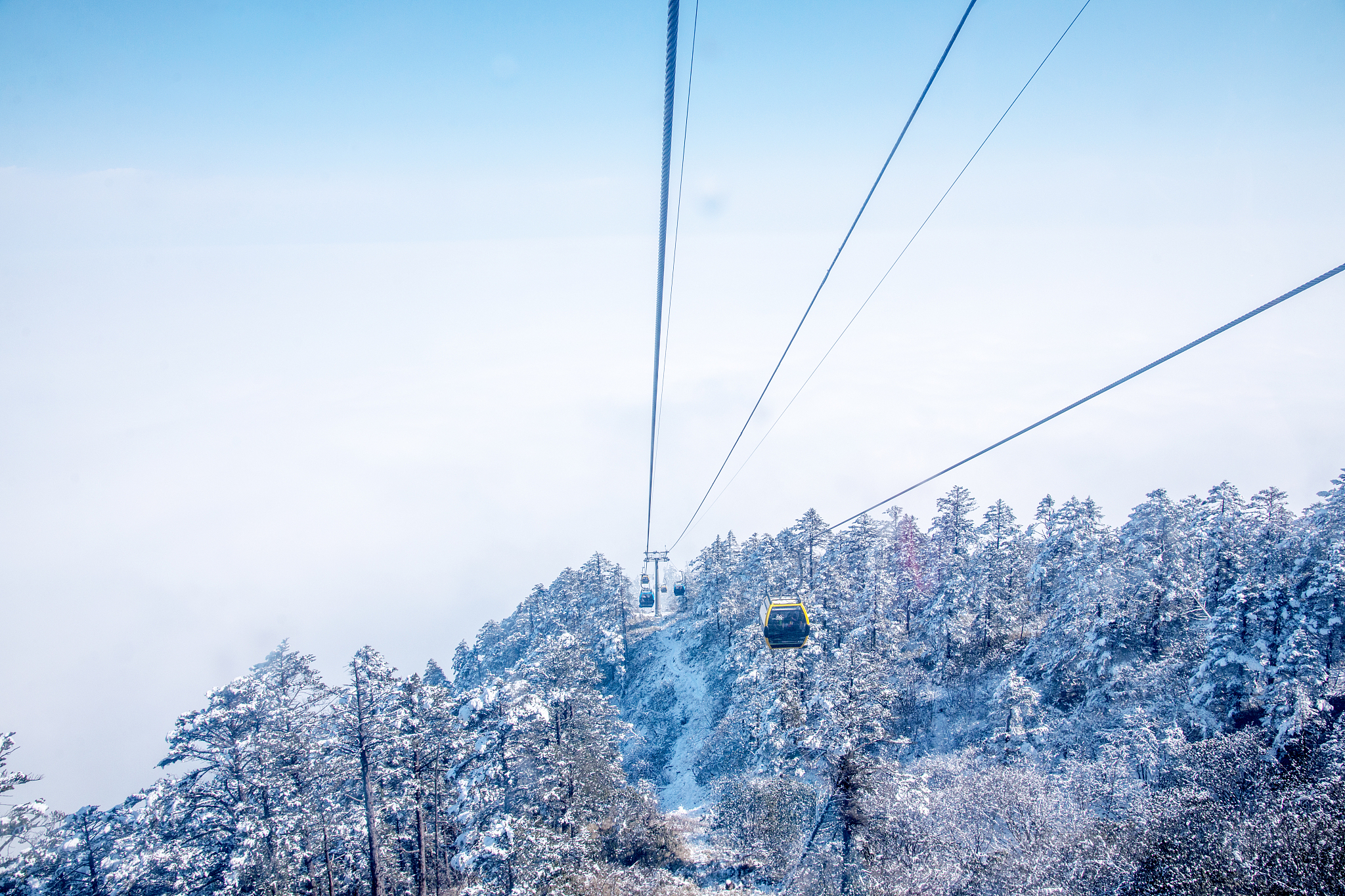 四川中职学校十大冷门专业：未来发展方向和选择建议