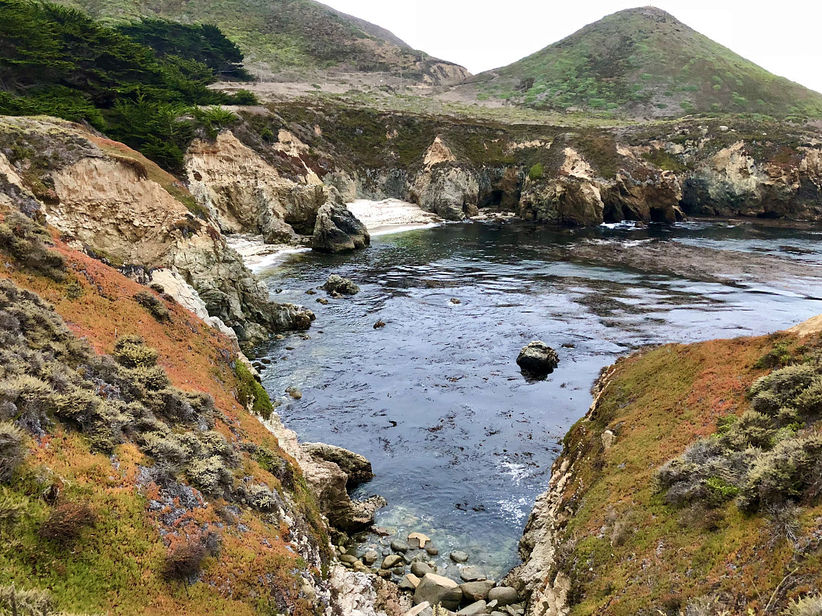 自然保护地生态修复绩效评价论文预期成果：理论与实践研究