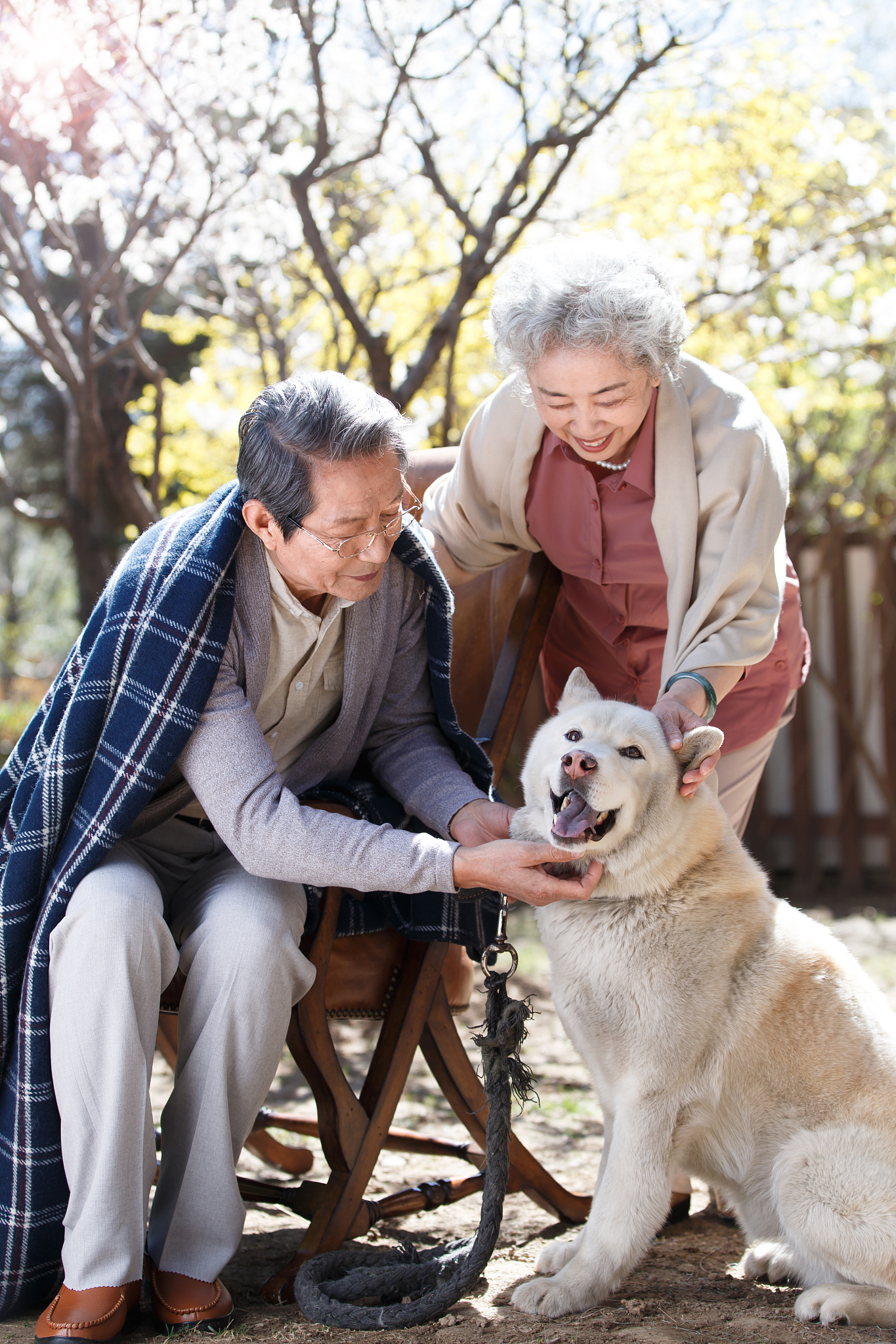 以宠物帮助老年人克服孤独和抑郁为题写一篇1100文章