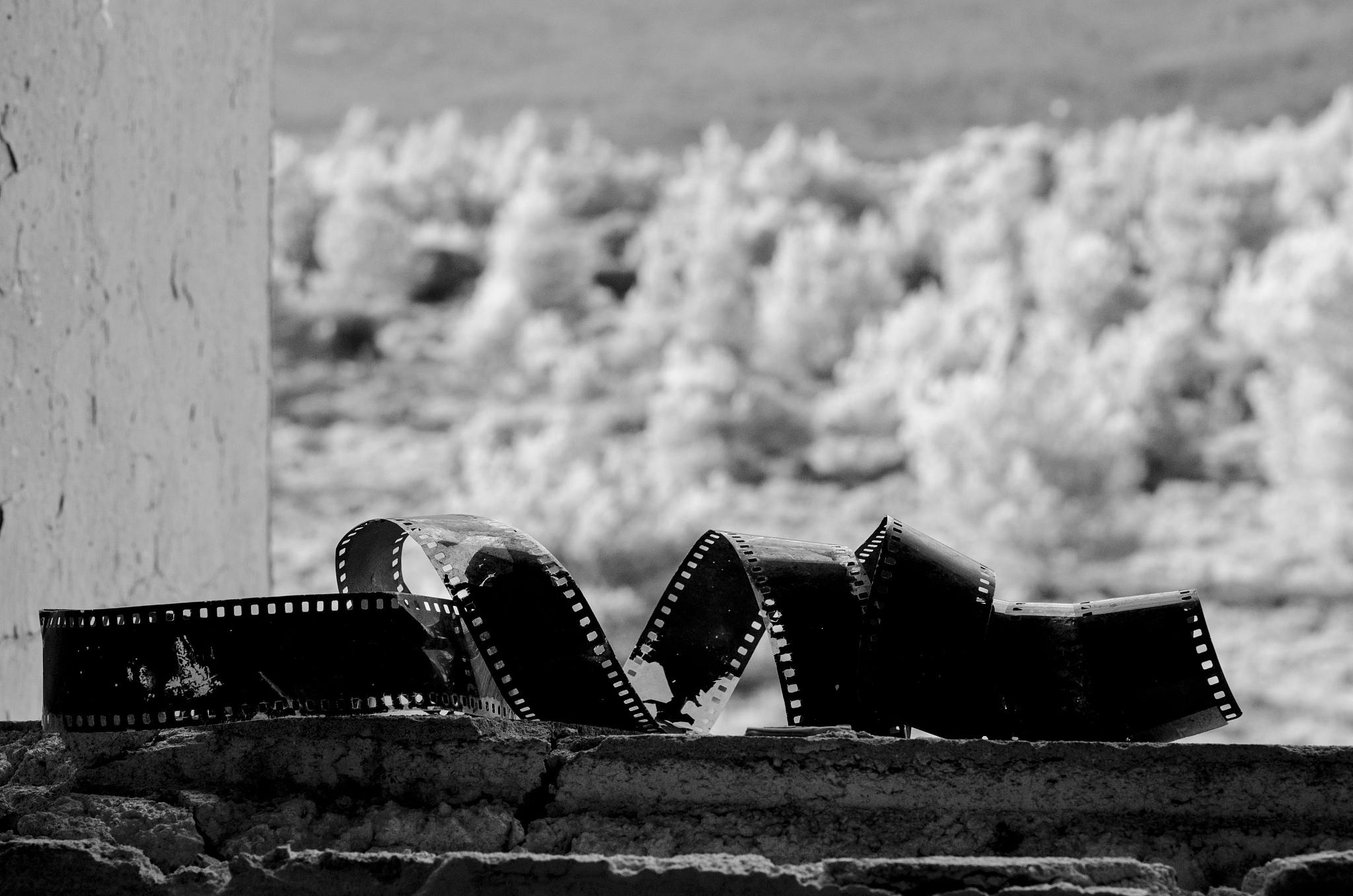 乡镇电影院的运营管理情况汇报