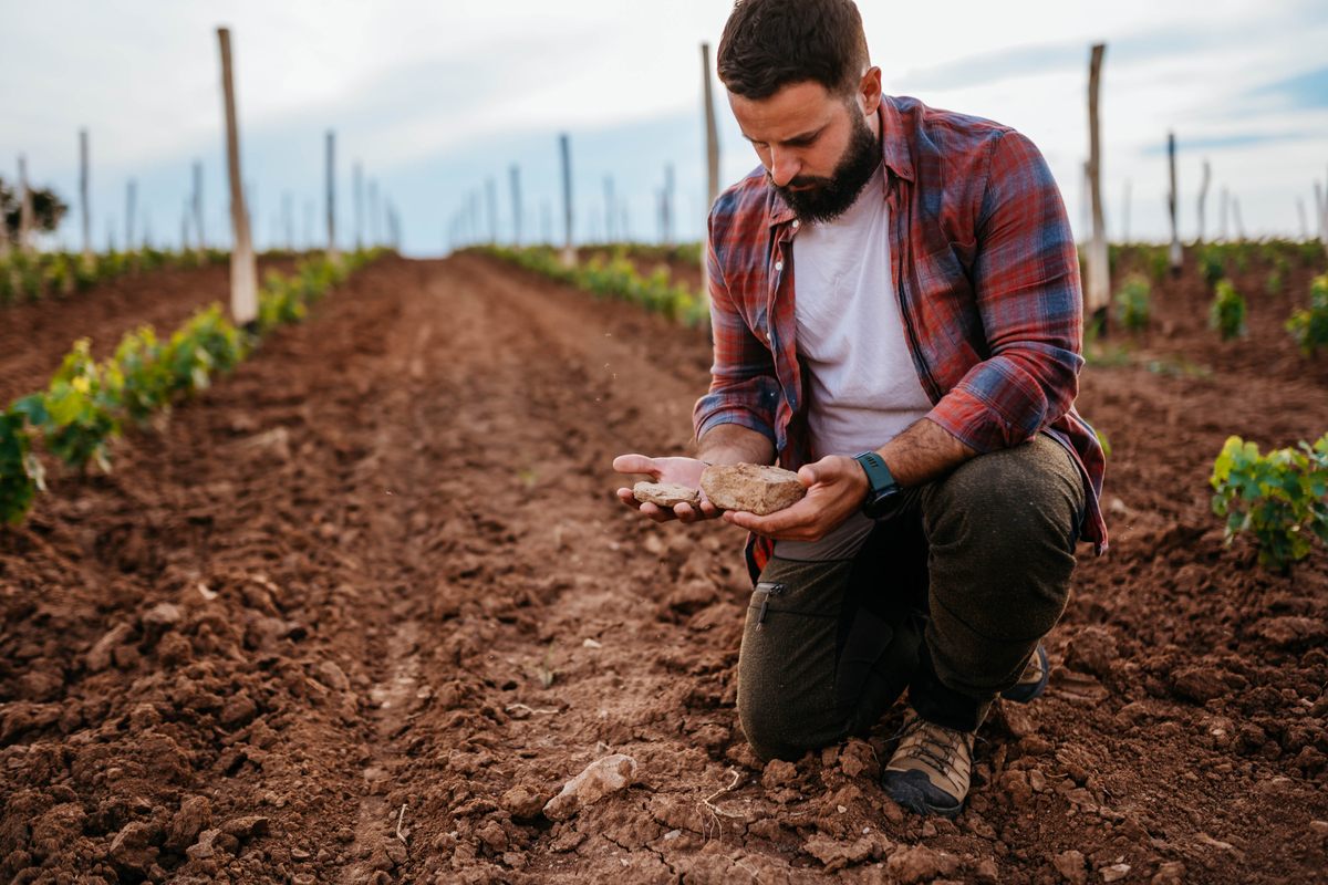润色下面的这句话 We acknowledge all those who provided local farmer survey and field trials