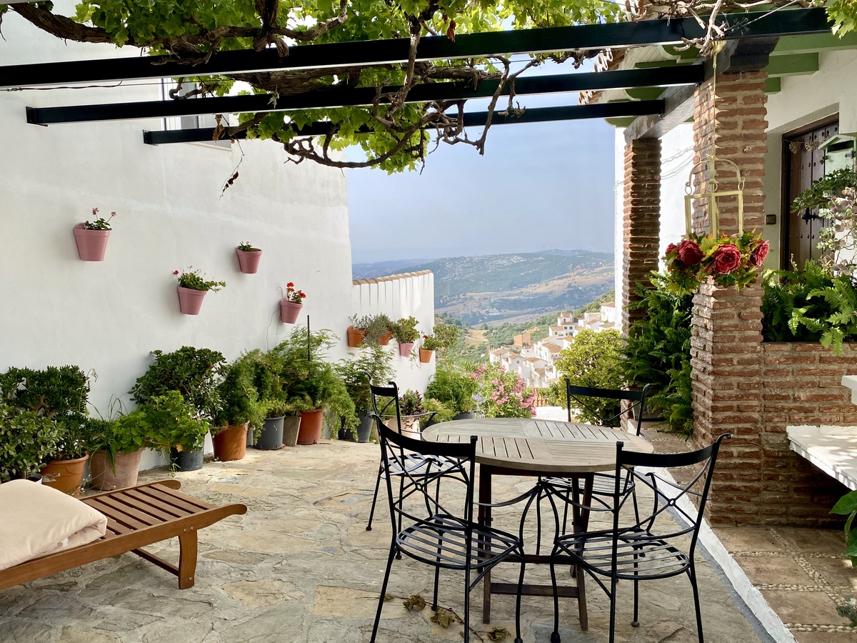 超大院子细节大揭秘！你想看什么，主播带你看！