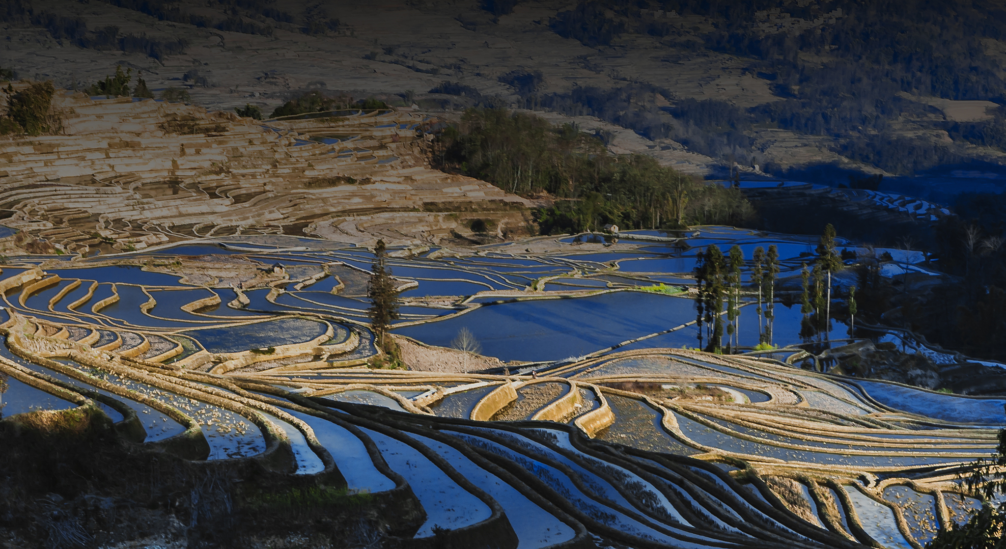 假设你是一个2004年左右出生的人有一个和谐的家庭请写一篇1200字左右的家族史