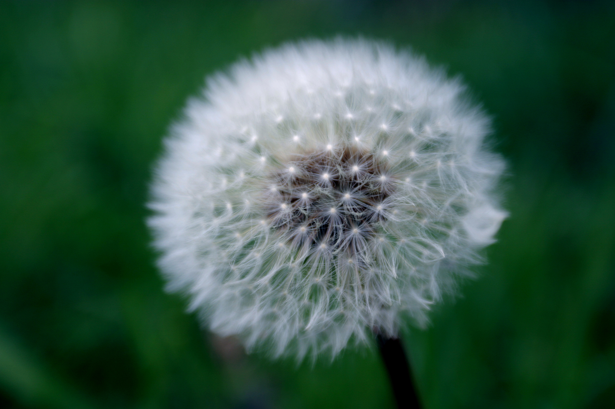 张掖职业中等专业学校种子生产与经营专业怎么样