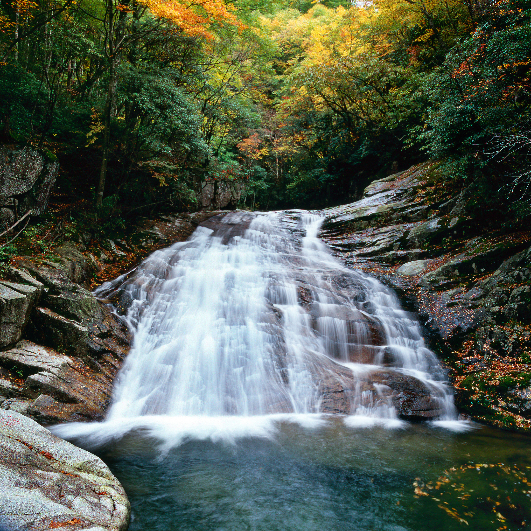 四川旅游与经济管理专业大学推荐：四川大学、西南财经大学等