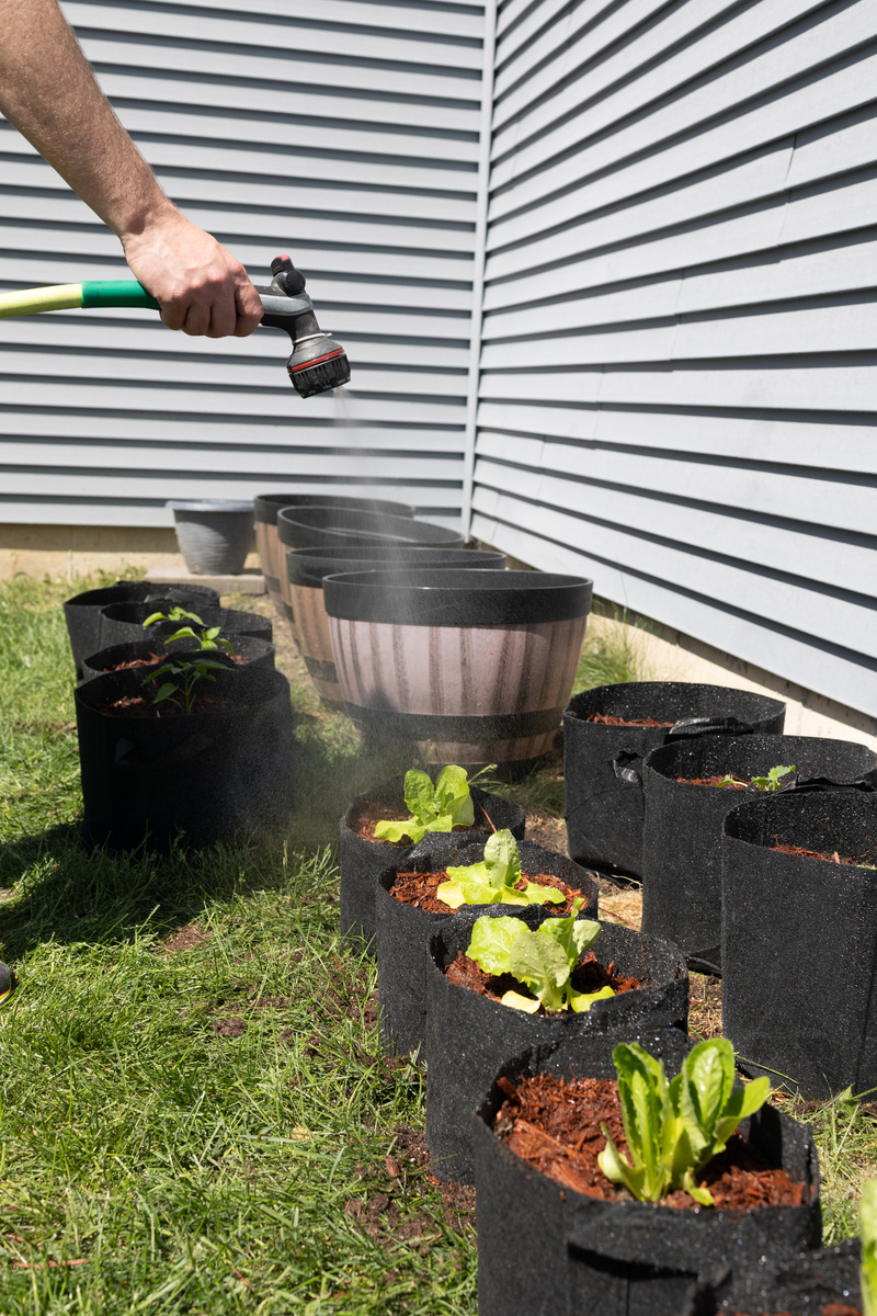 Greenhouse Large Gardening Plant Hot House Portable Walking in Tunnel Tent, Green Reviews - Best for Your Backyard!