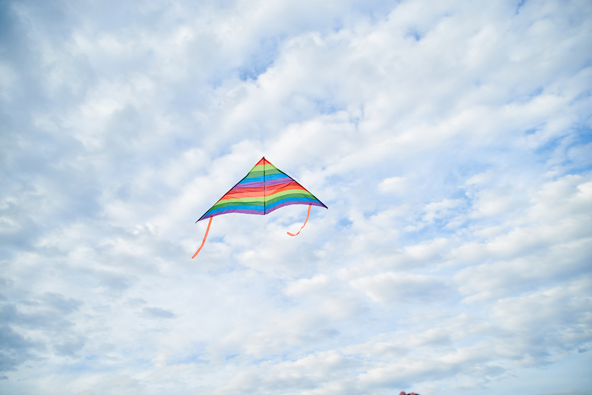 walk with kite