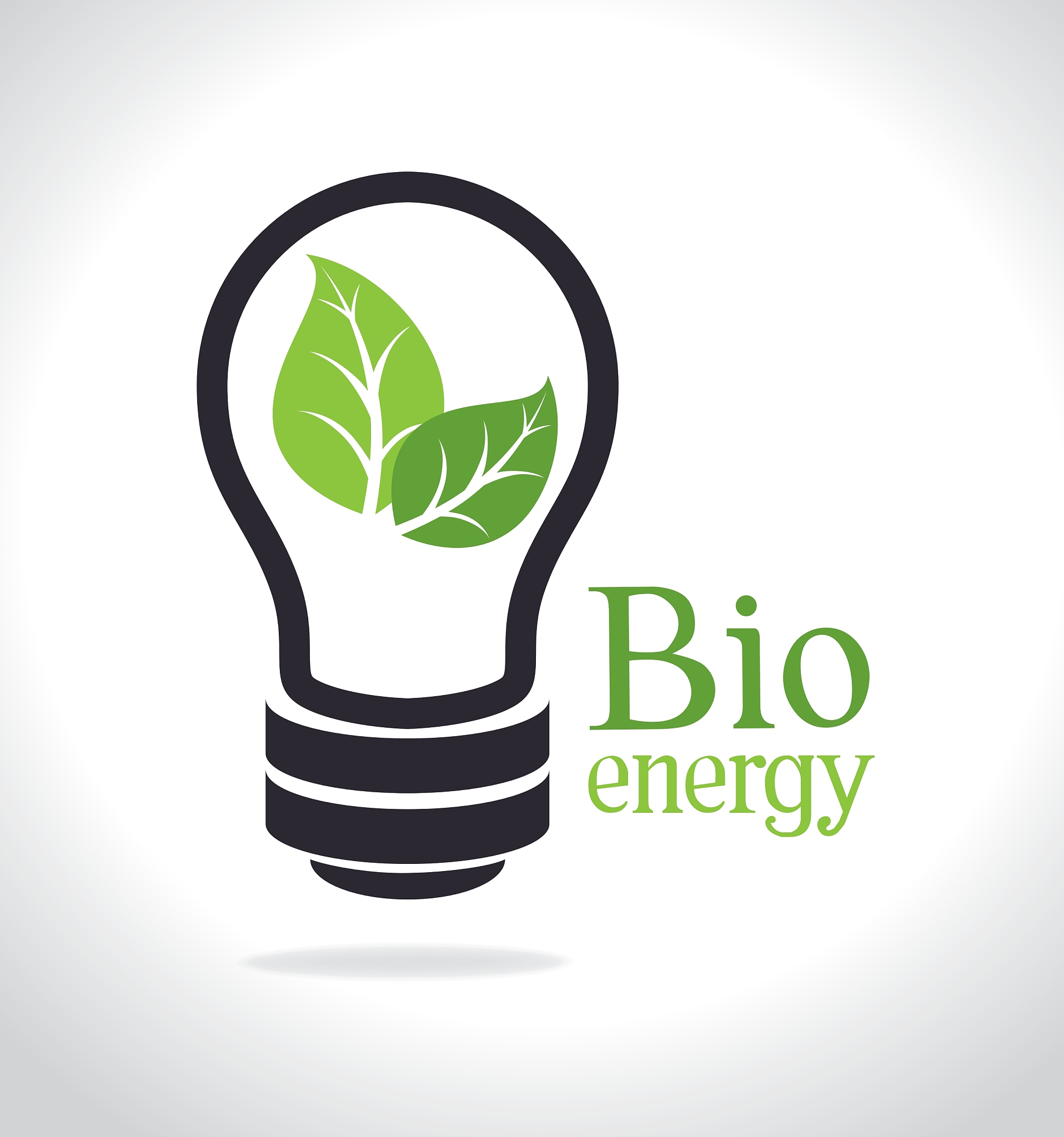 生物习题数量和时间限制设计指南：提升学习兴趣与效率