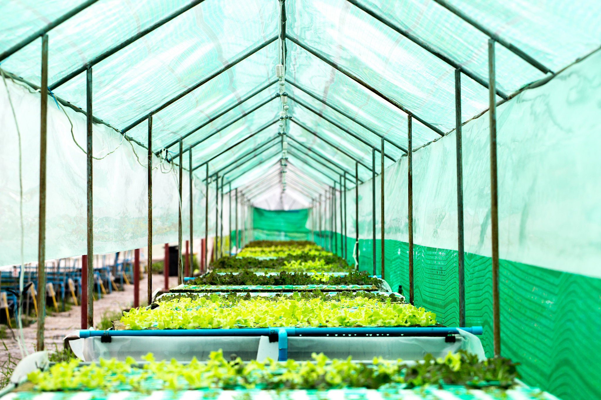 贵州农业职业学院有哪些专业中餐营养与膳食专业好不好