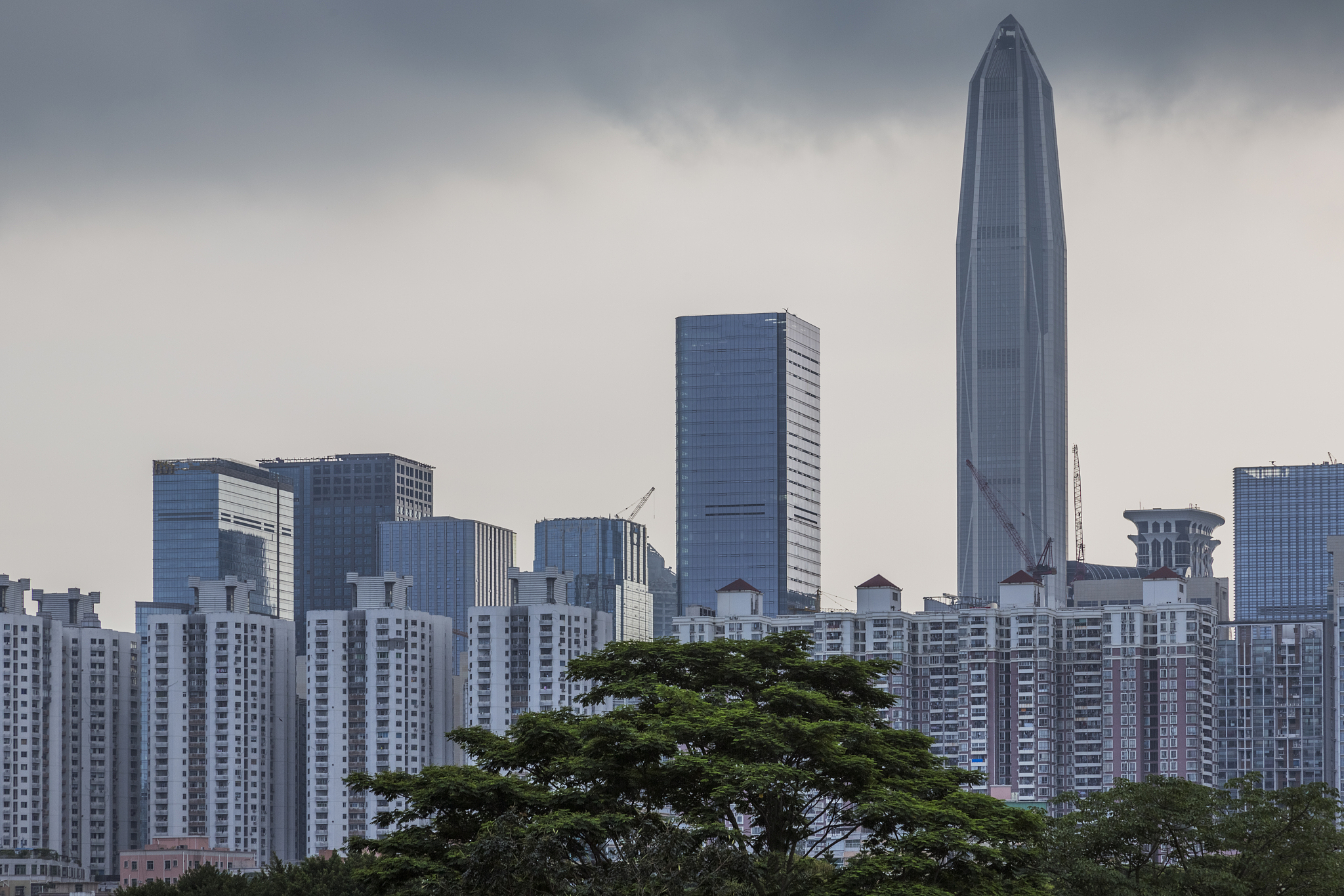 shenzhen city