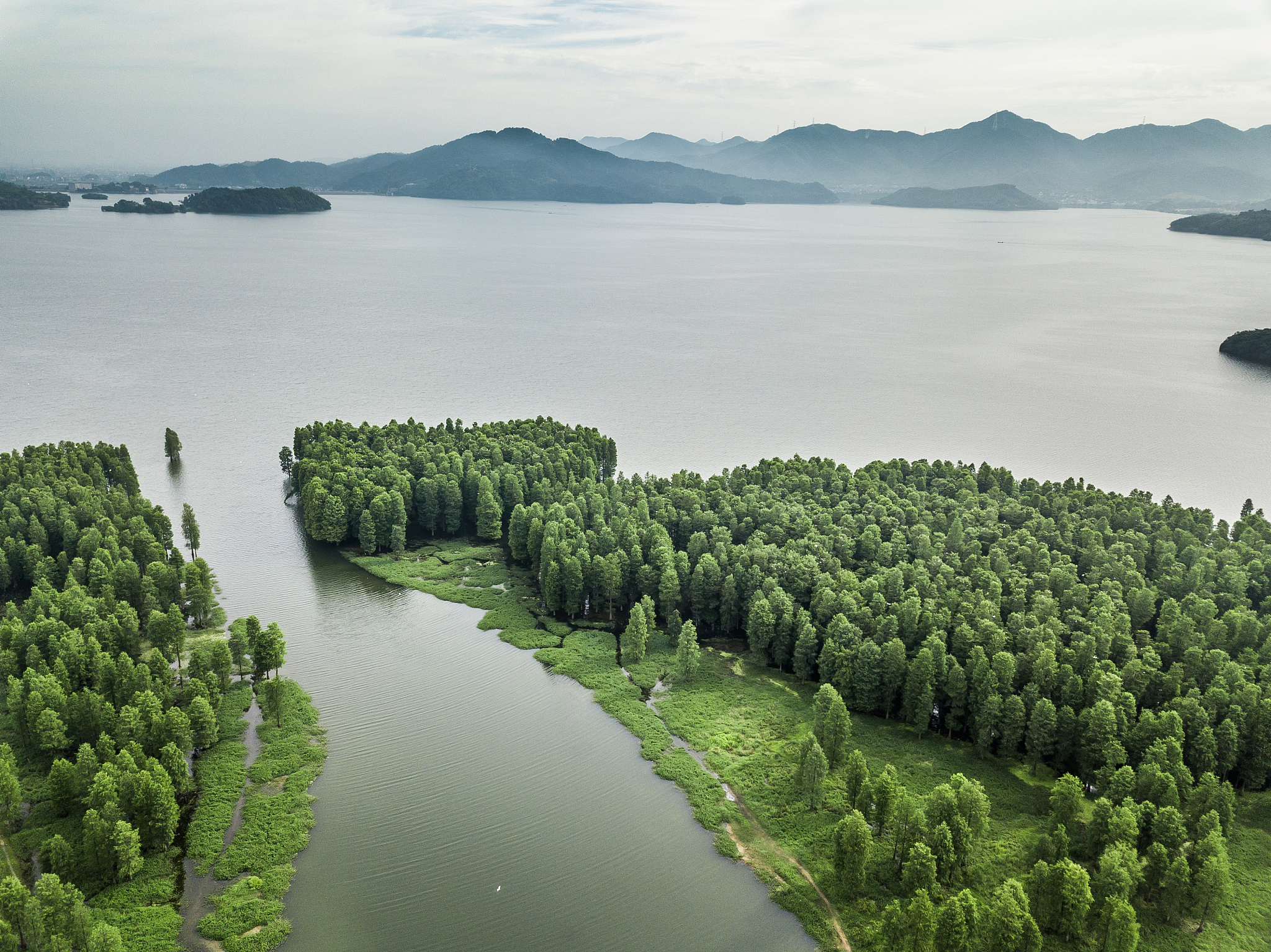2023年市场推广科上半年工作总结