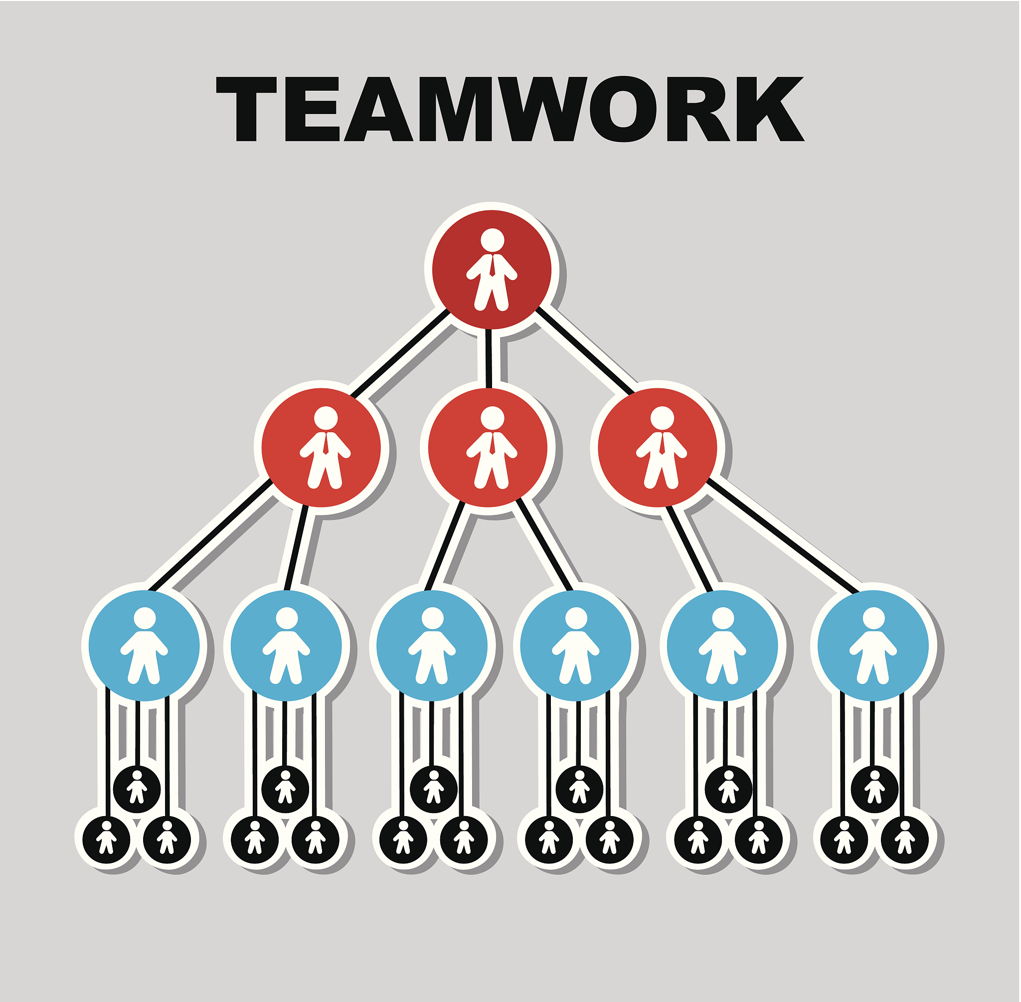 正式组织和非正式组织：两种组织类型解析