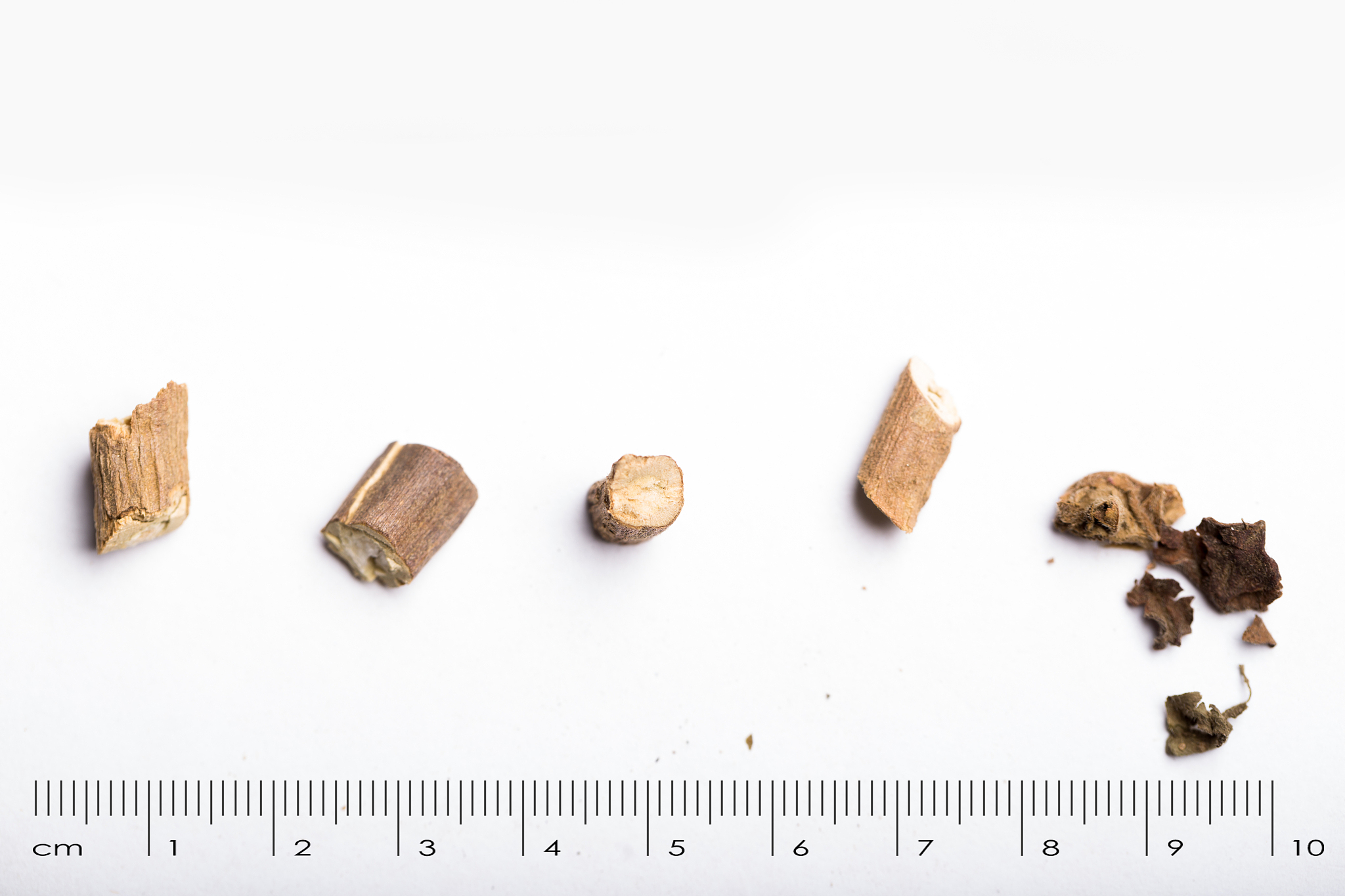 同仁堂藿香祛暑软胶囊可以治疗头痛吗? 同仁堂藿香祛暑软胶囊可以治疗头痛吗?