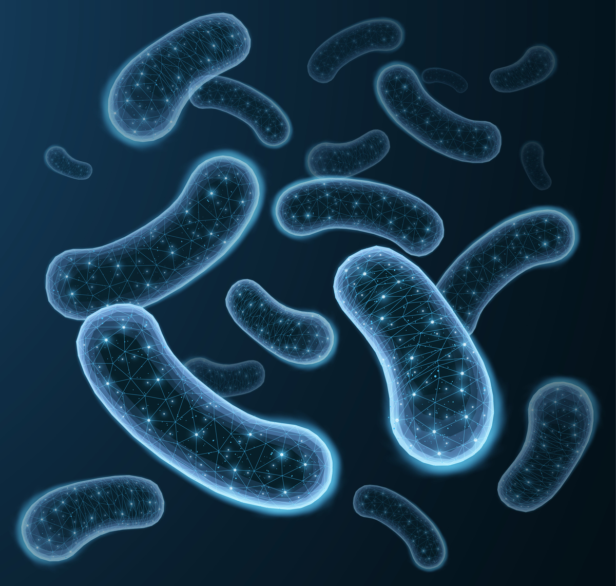 帮我改写这句话肠道菌群泛指人体和动物肠道内各种微生物包括真菌、细菌、病毒等是人和动物体内及其重要的微生物群落之一