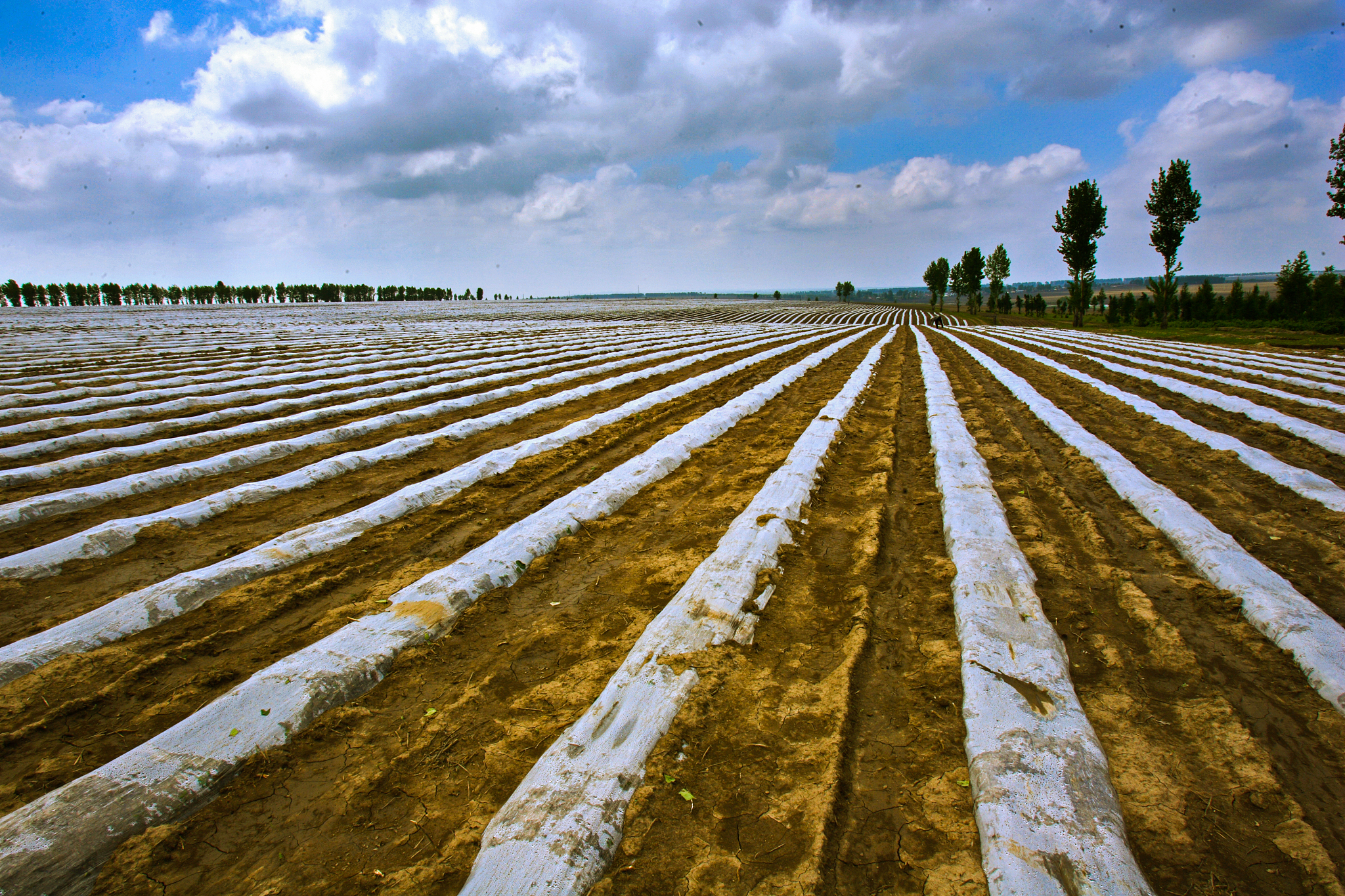 佳木斯职业师范学院药剂专业好吗