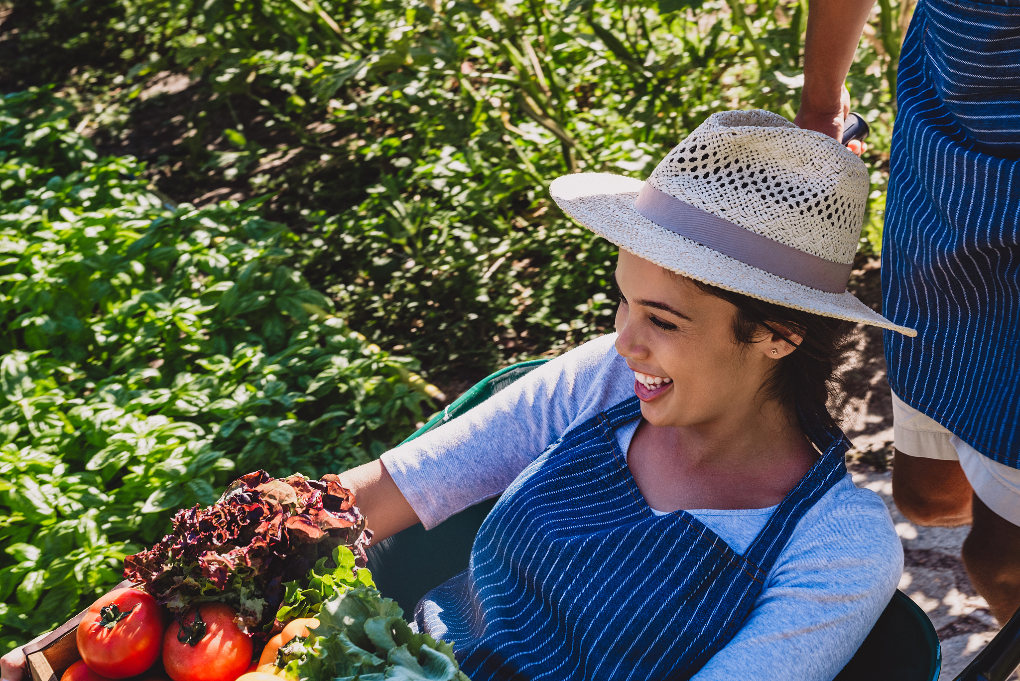 2019年玉溪农业职业技术学院招生简章及计划 - 报名指南
