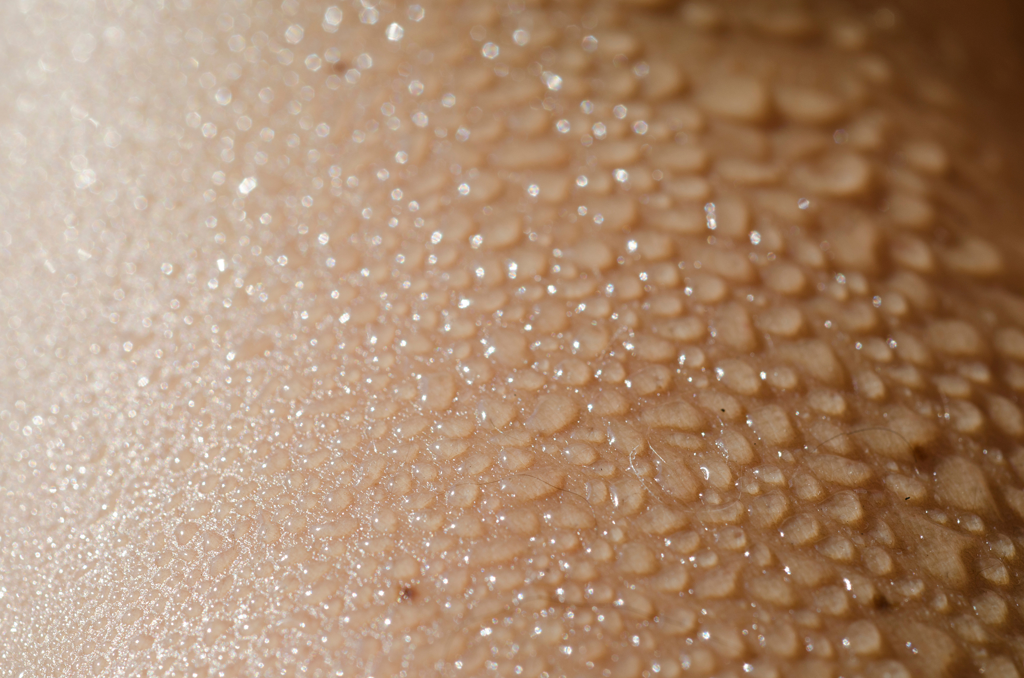 cropped image of wet skin