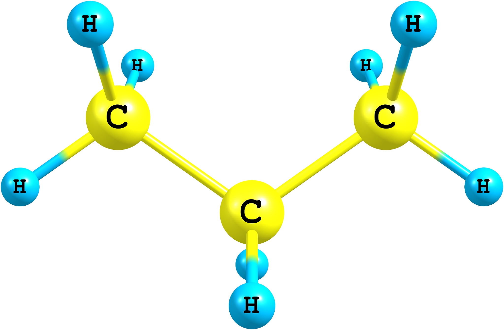 脂锚定蛋白结构