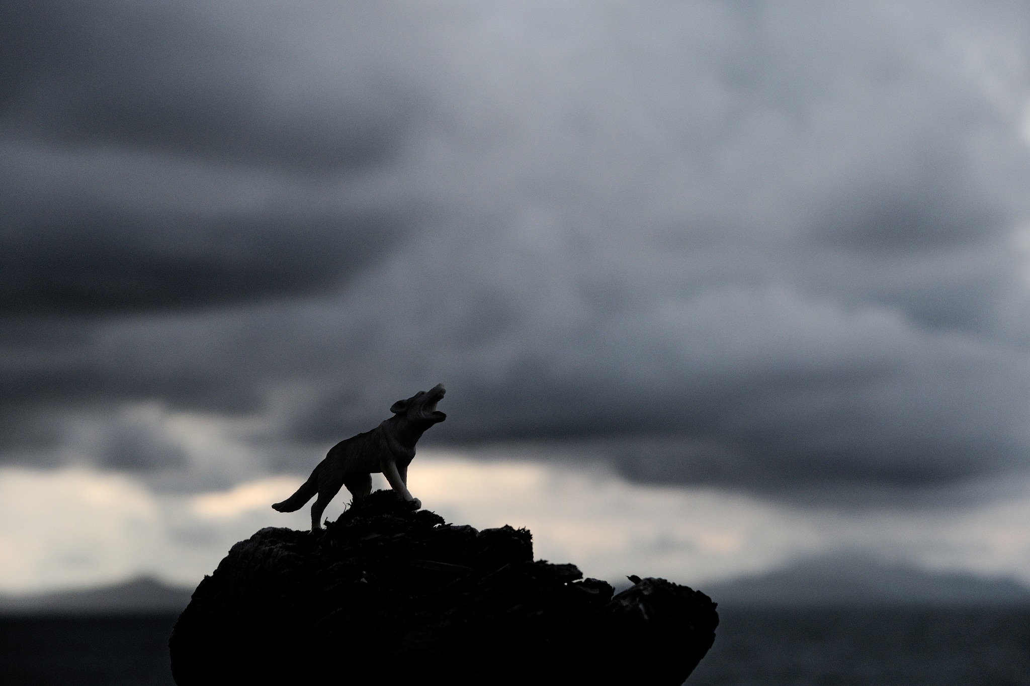 请从创业的角度将下面的语句扩写为2000字的文章并提供标题和简介：狼若回头必有缘由不是报恩就是报仇。事不三思终有败人能百忍则无忧。越牛的人越谦虚越没本事的人越装。拼你想要的争你没有的。要想人前显贵就得背后遭罪。父母给的是背景自己打下的是江山。万丈高楼平地起辉煌只能靠自己。