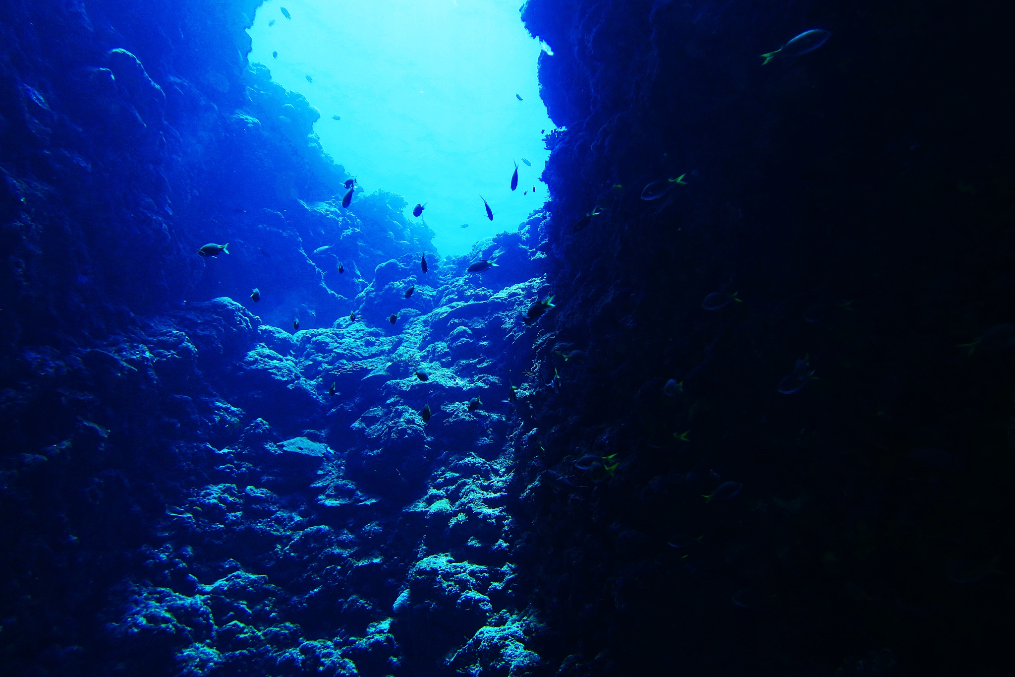 miyakojima diving terrain point