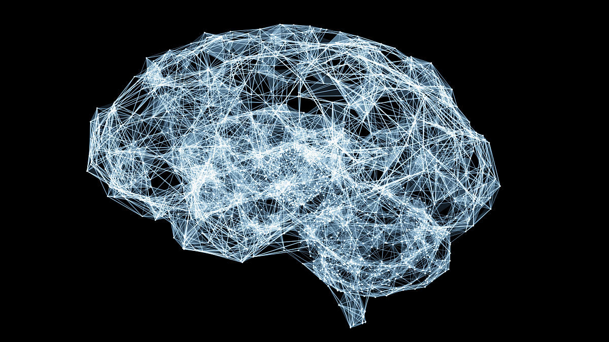 NEUROCHEMICAL RESEARCH期刊投稿指南：文章类型详解