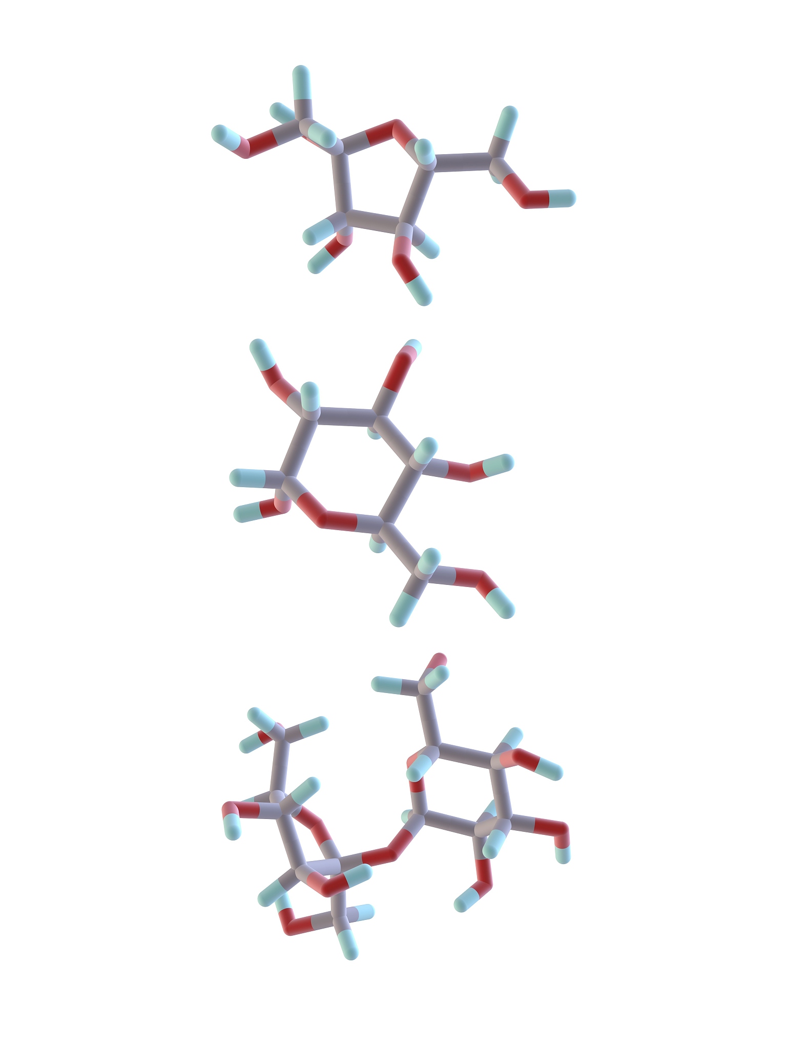 阿拉伯糖可以被人体吸收吗？