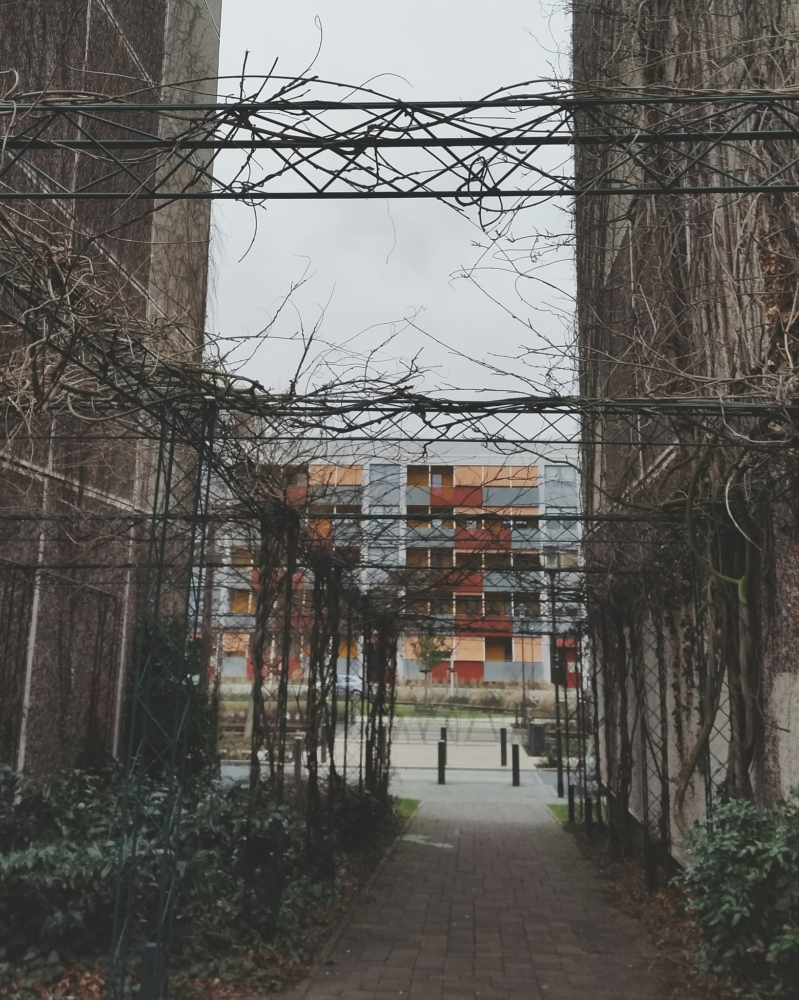 中国美术学院附属中等美术学校宿舍环境怎么样？2022年最新评价