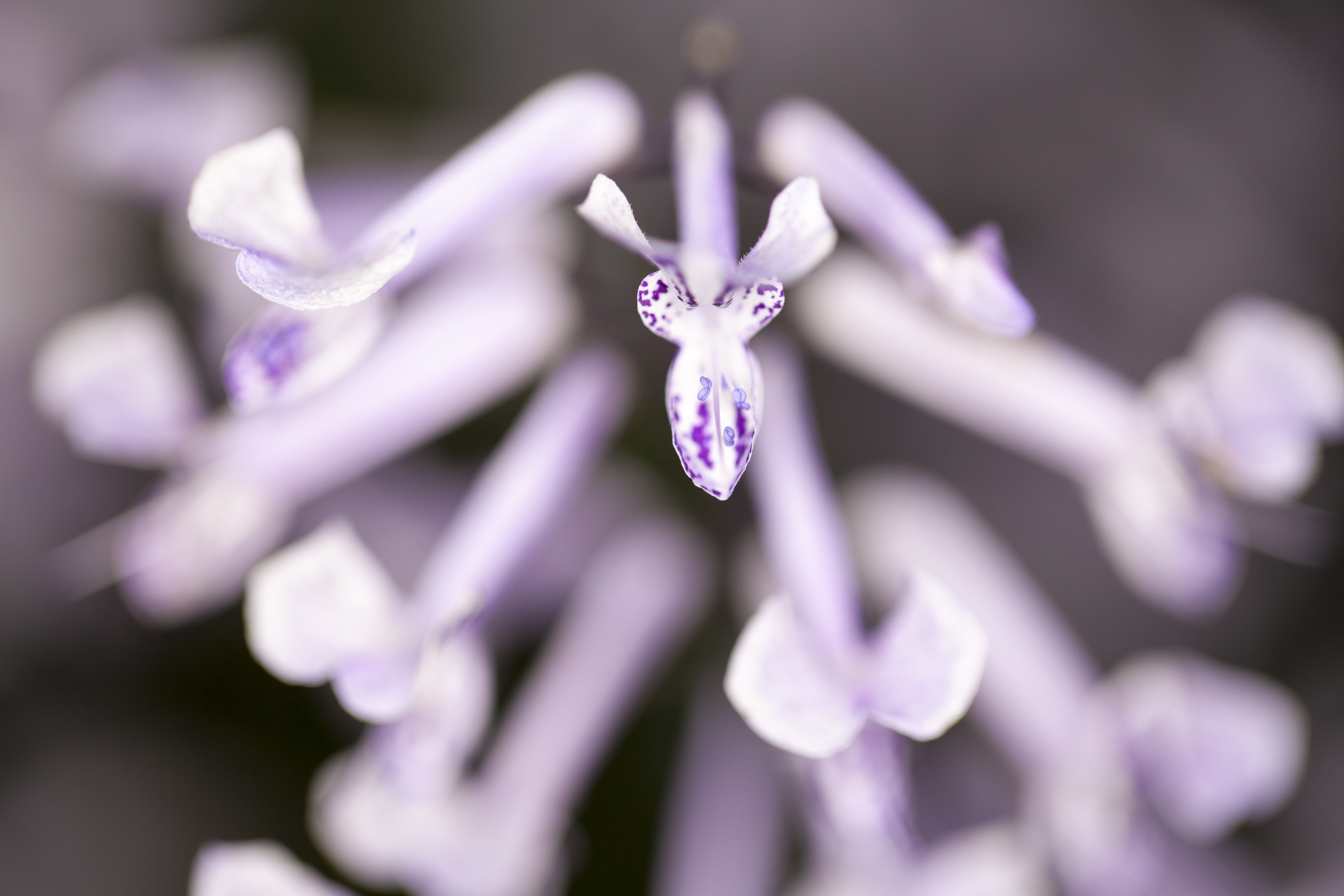 唯物主义自然观：科学发展和人类进步的基石