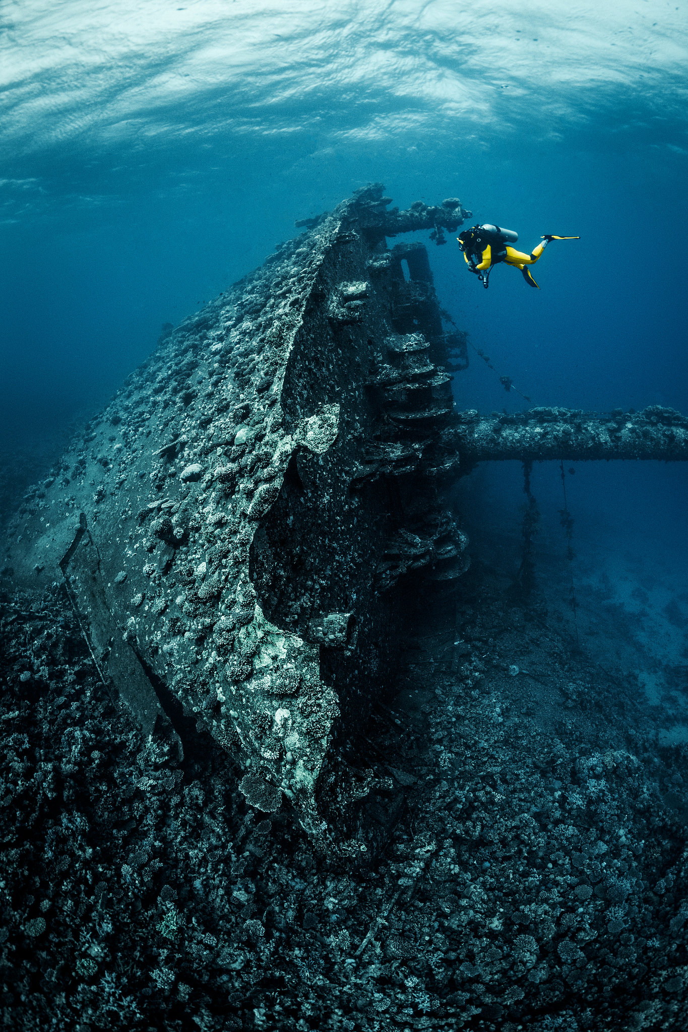 single scuba diver exploring a magnificent shipwreck lying at th