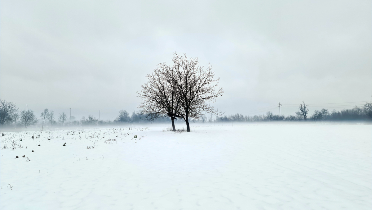 雪下的大的话语悲景