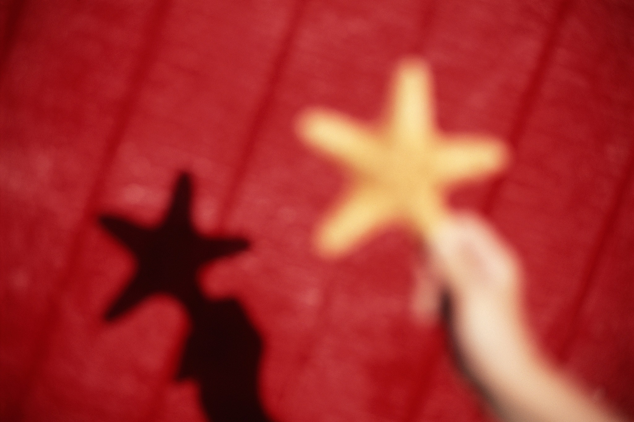 child holding starfish, casting shadow, close-up