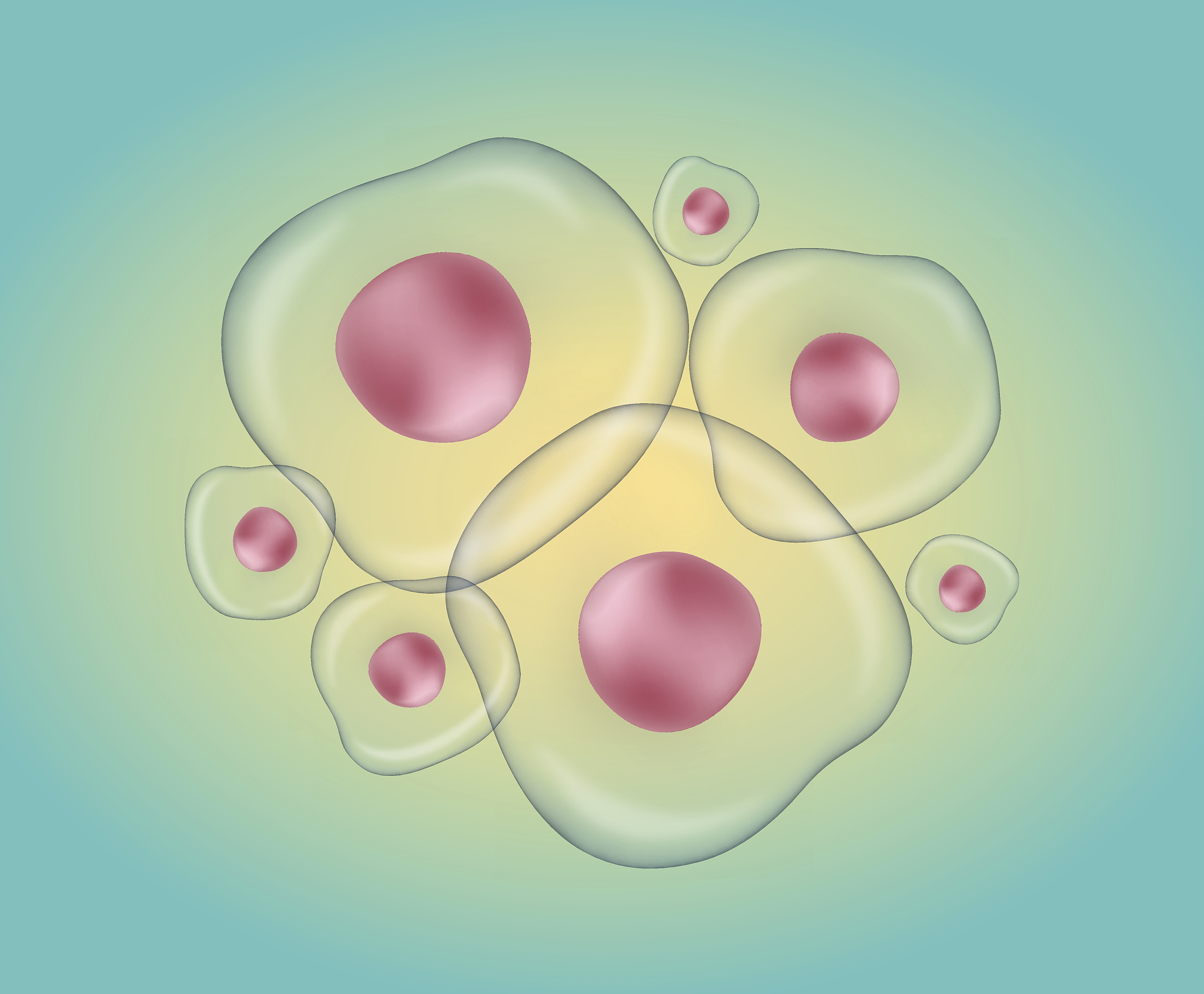 Prokaryotic Cell Structure: Key Features and Characteristics