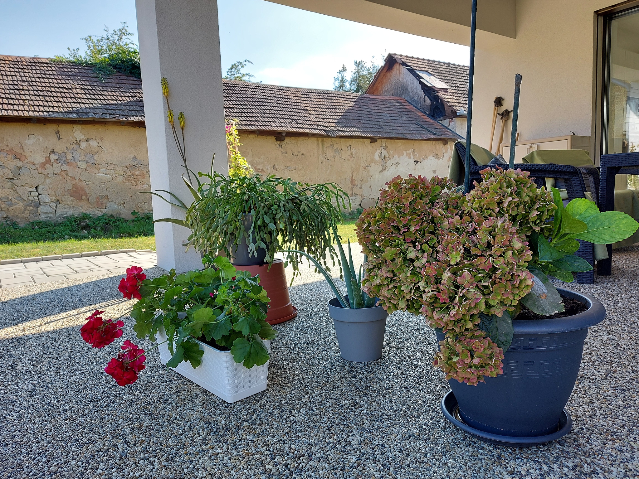 When-all-the-flowers-were-ready-in-their-decorated-pots-Mama-spent-a-fourth-day-distributing-them-through-the-house-moving-a-wooden-stand-here-and-now-there-and-now-here-now-this-pot-with-the-shell-motif-now-the-other-pot-with-the-Spanish-tile-until-