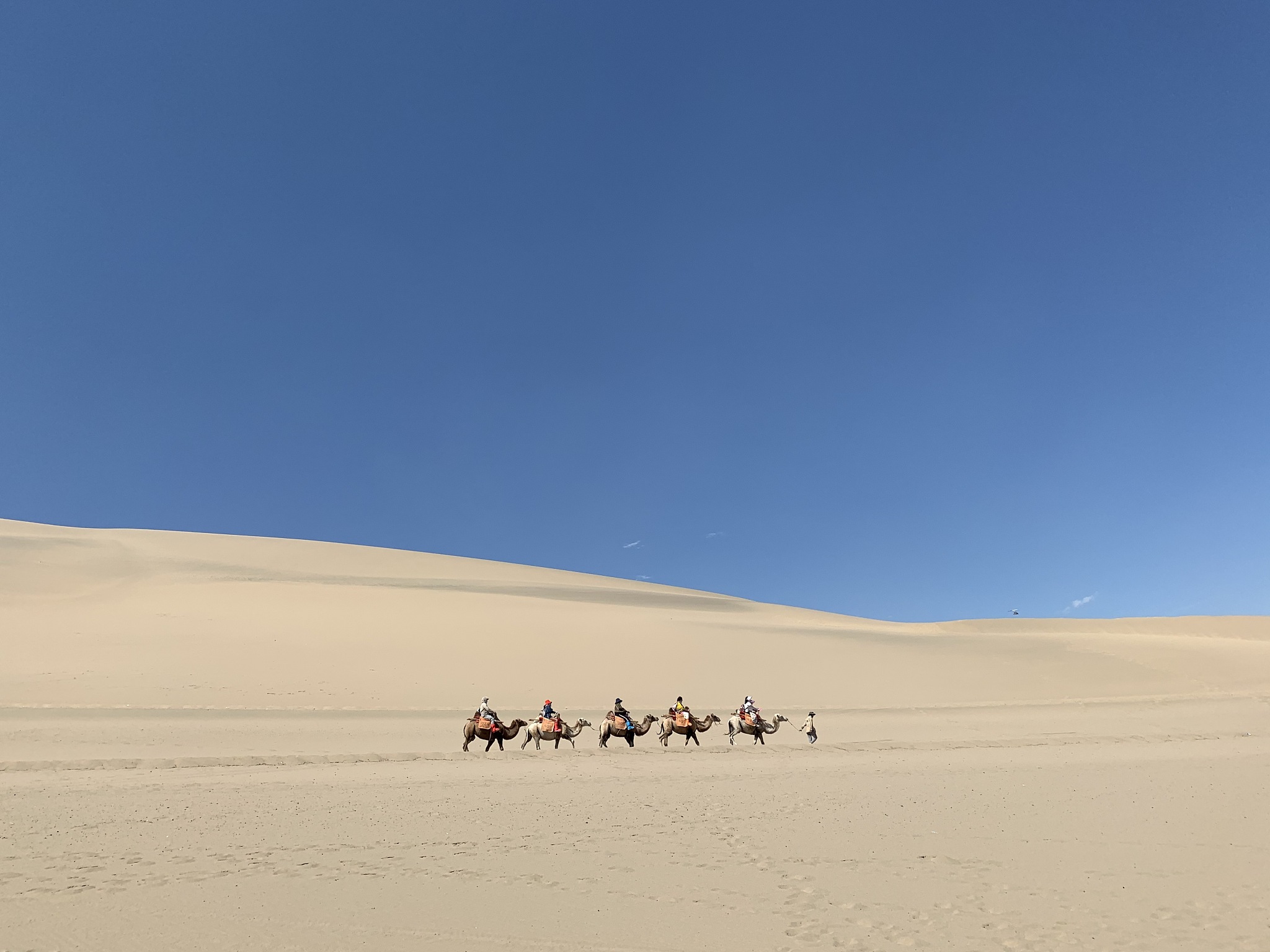 以徒步穿越沙漠感受极致干燥与炙热为题写一篇1200字文章