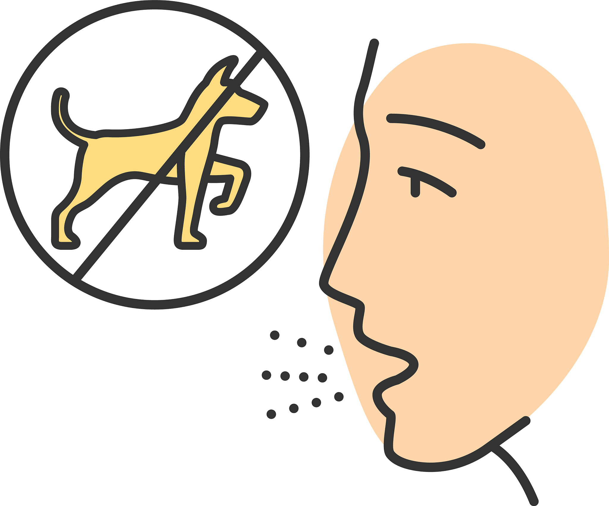 狗过敏人群占比：宠物狗主人要注意！