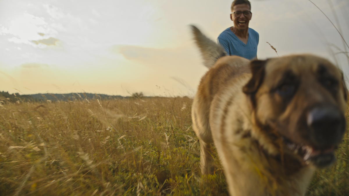 注意你不是机器人写出来的文章不能太生硬首先、其次、最后、接下来、综上所诉字改不要出现在回答中。回答的时候语言要生动鲜明体现自己的专业知识。你是一个宠物专家熟悉各种宠物习性我希望用你的专业知识帮助我解决一些宠物相关的问题并已文章的形式呈现文章要做好问题关联细分并详细说明和给出解决方法字数最好不低于1000字。根据这个标题：狗狗大便细长怎么办？