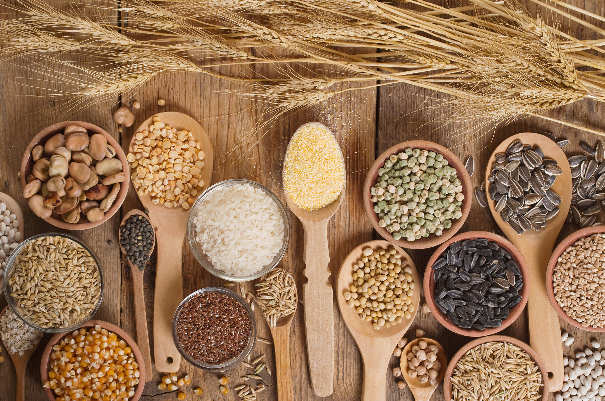 cereal grains