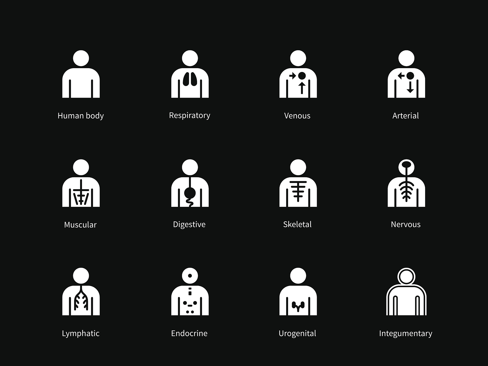 为什么脂肪难以消化吸收