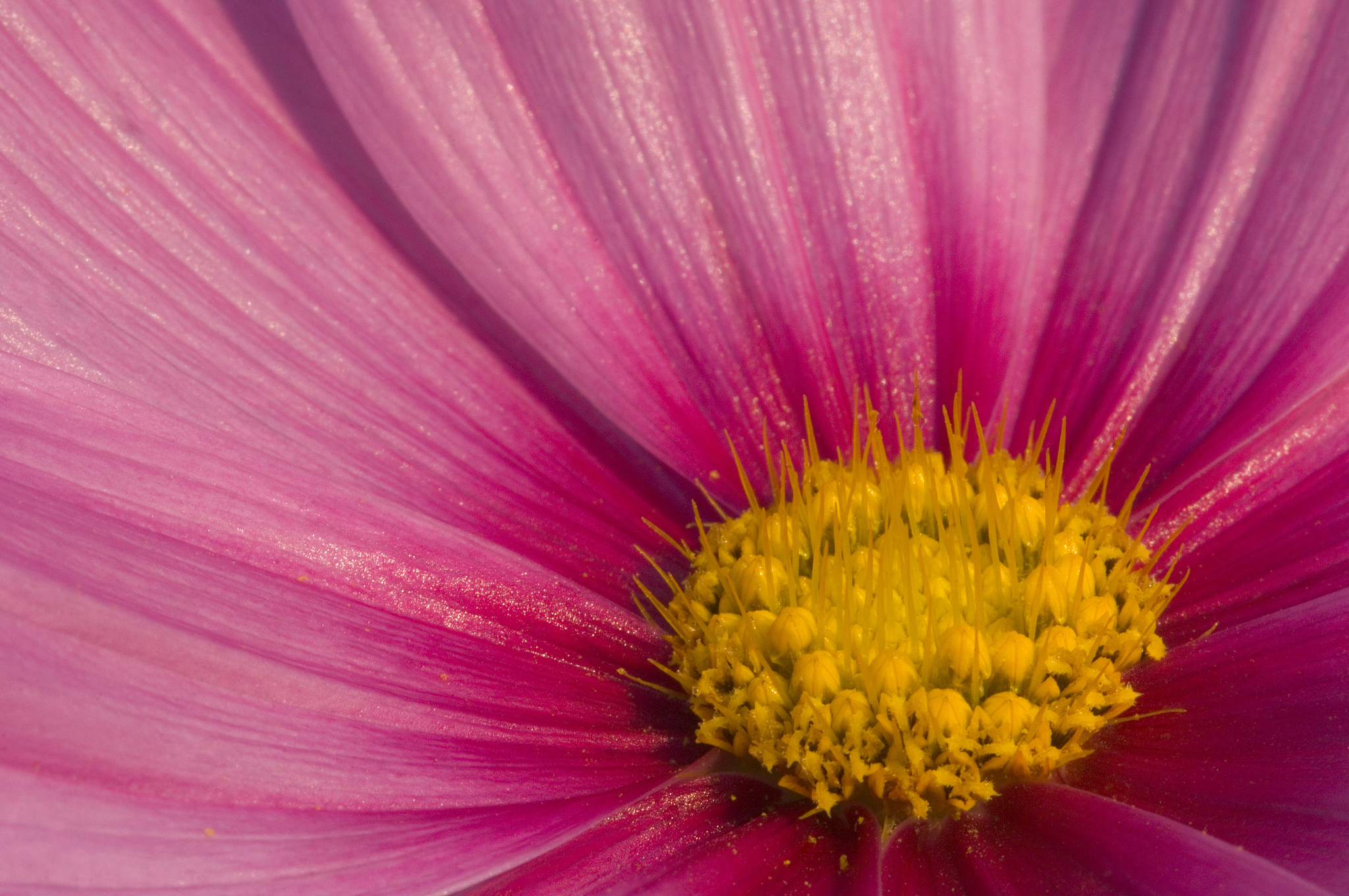 PS 悬浮小工具：提升工作效率的 Photoshop 插件