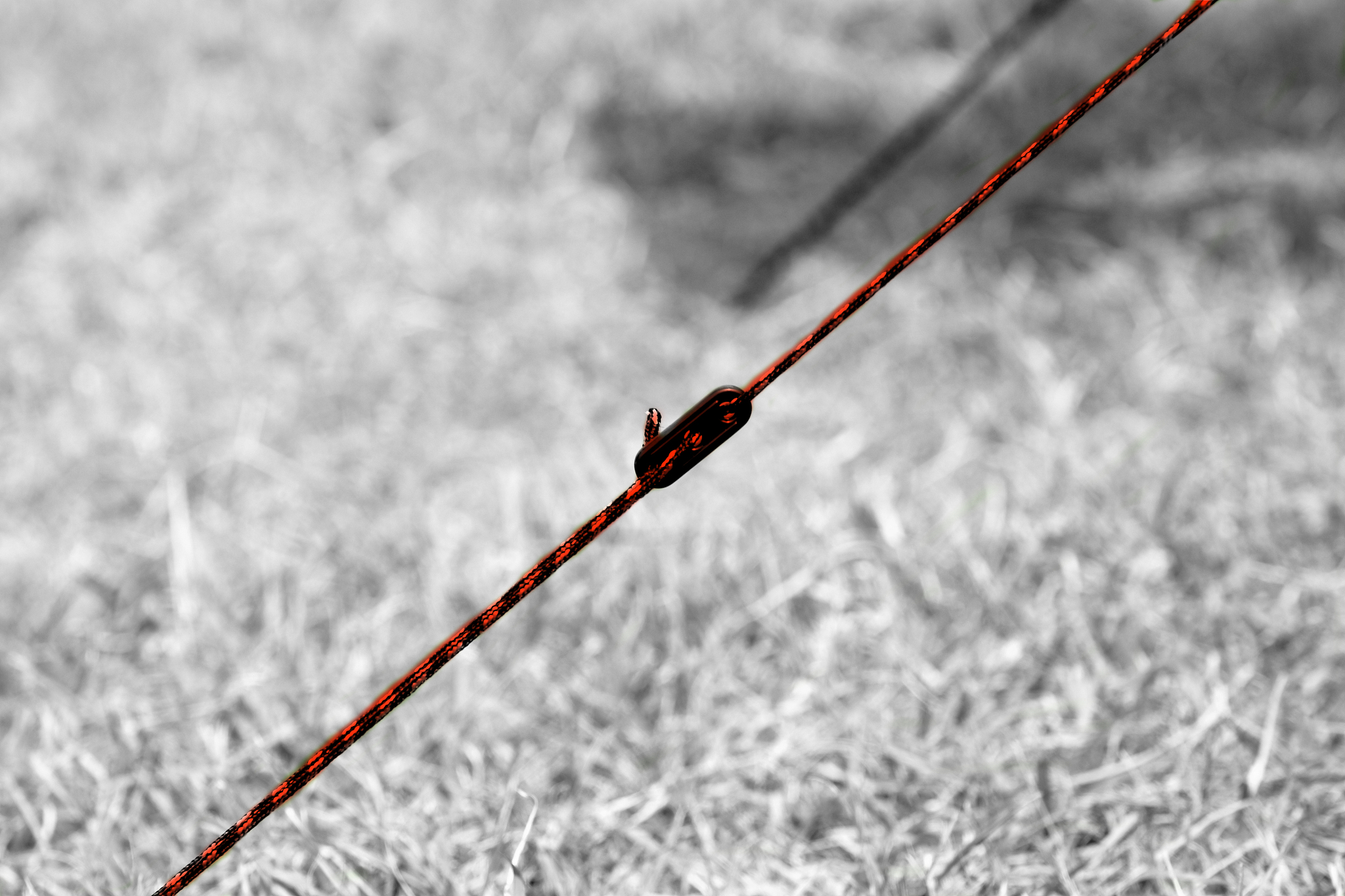red black nylon ropes of a camping tent
