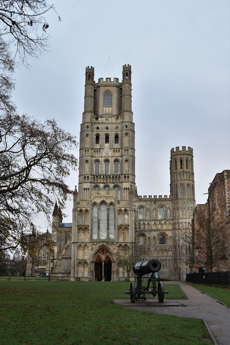 伊利优酸乳配料表大全：成分解析，营养丰富