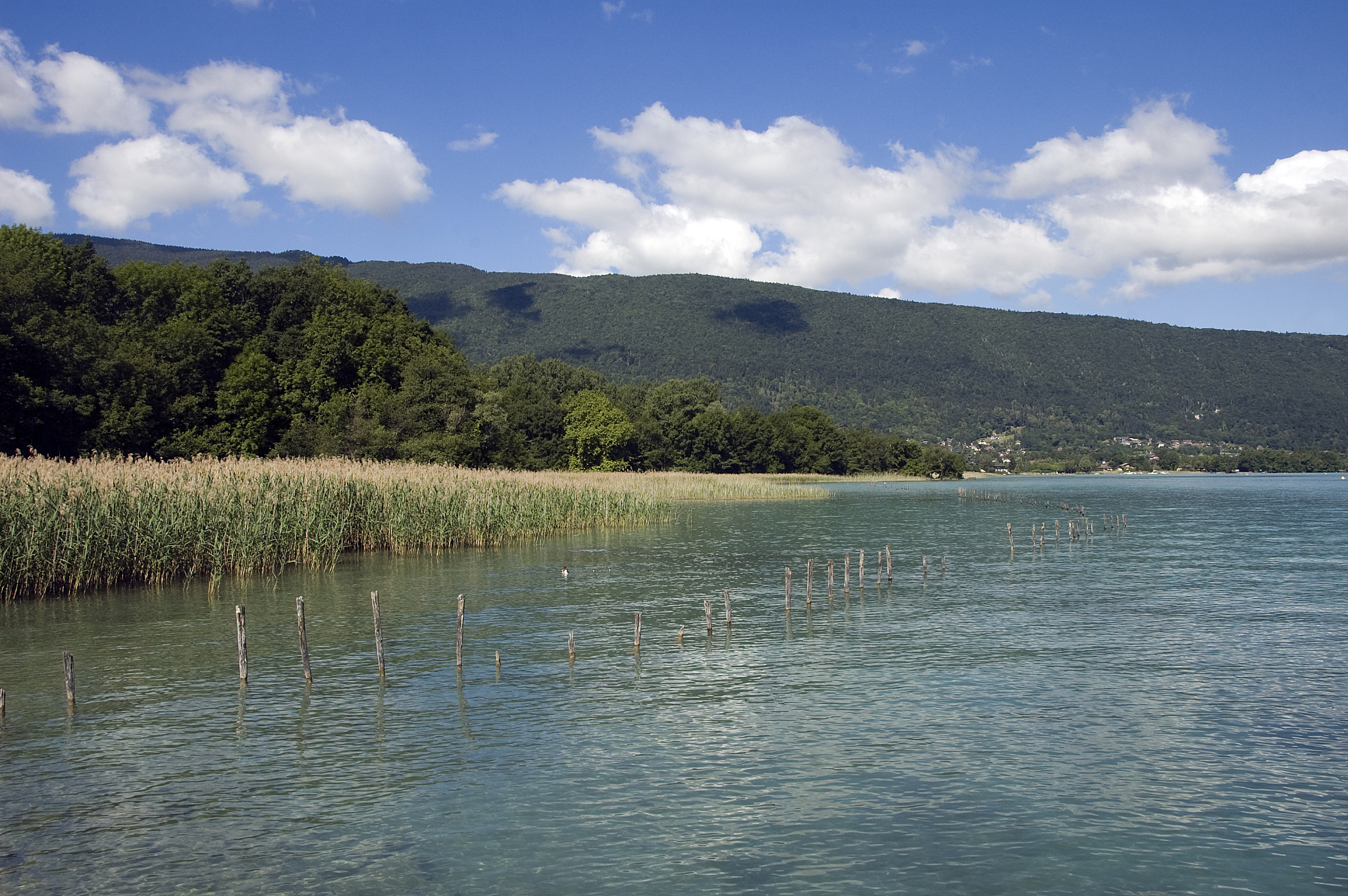 潍坊工程职业学院摄影摄像技术专业好就业吗