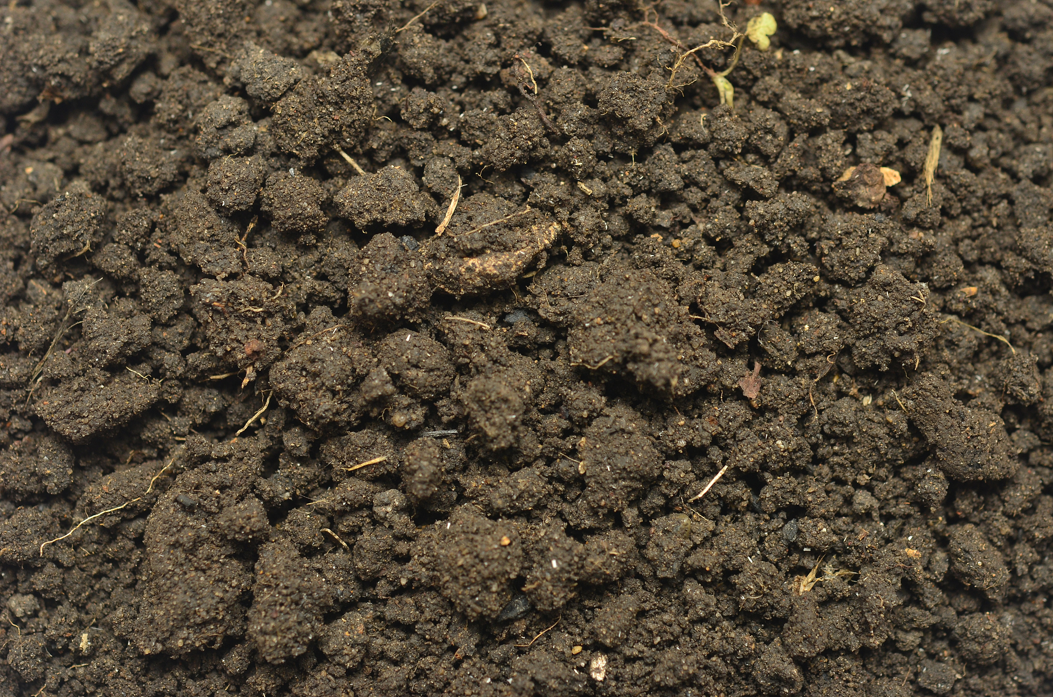 土壤团聚体是土壤结构和功能的基本单位影响土壤水分养分保持及供应调控能力。土壤团聚体稳定性越好就能充分协调土壤水、气和养分等因素的循环为植被生长创造条件3。润色