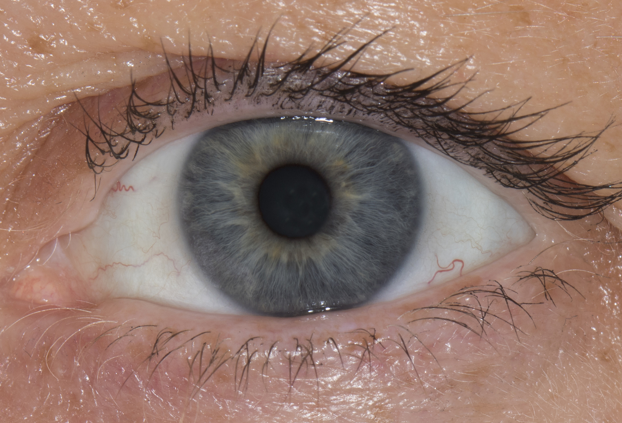 close up of human eye