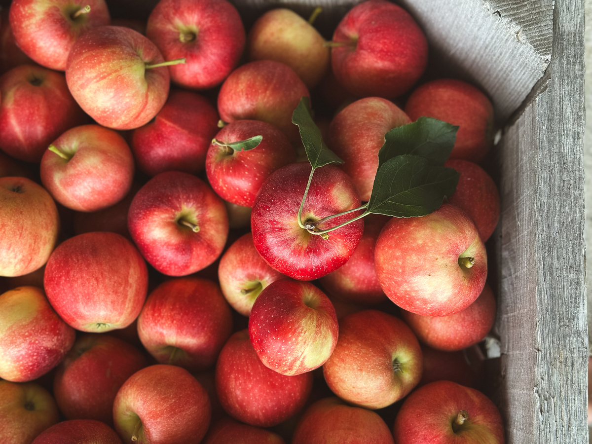寻找不一样的美味：一款超越苹果的水果推荐