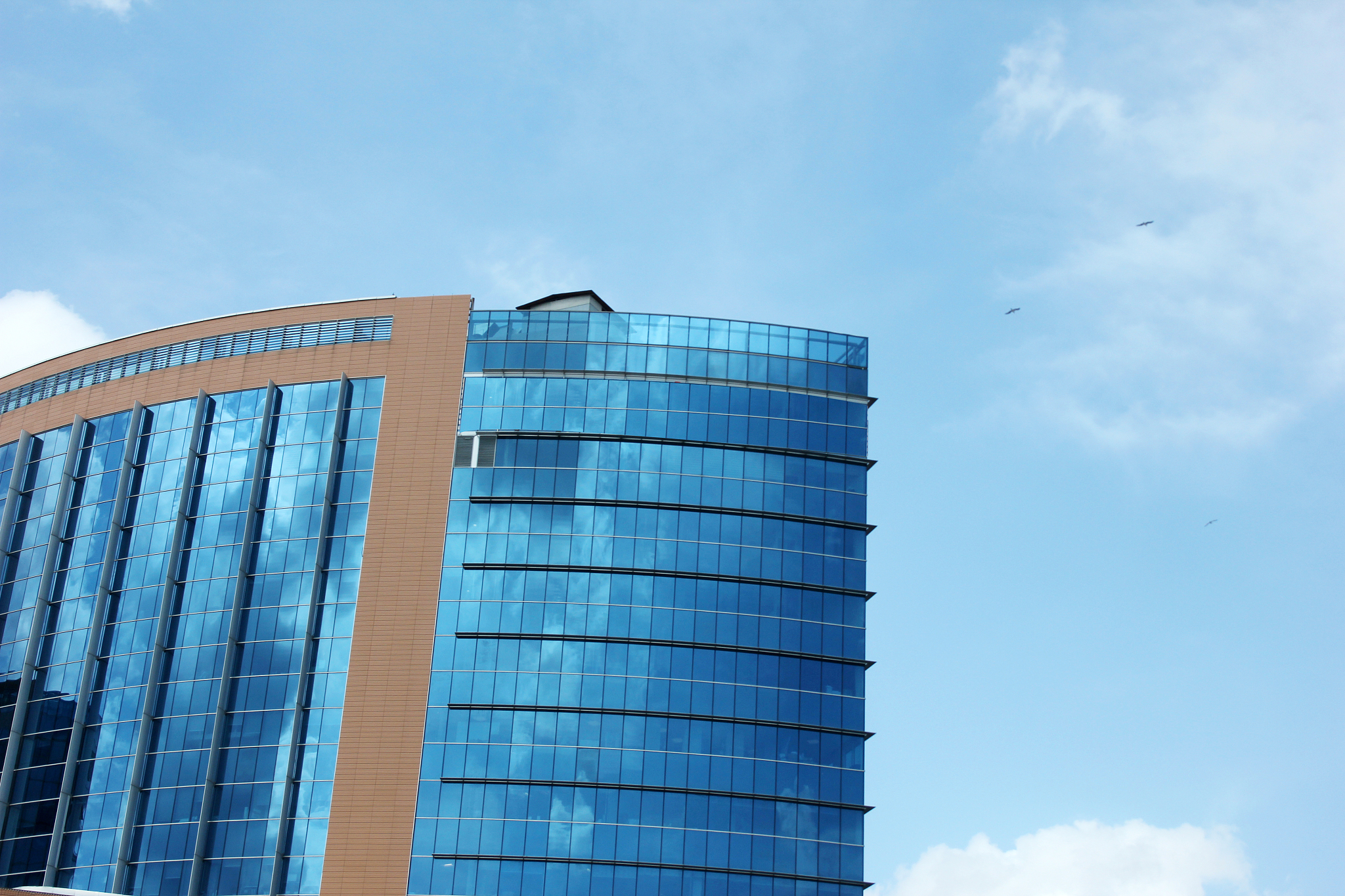 瓦格纳集团 - 全球工程和服务提供商