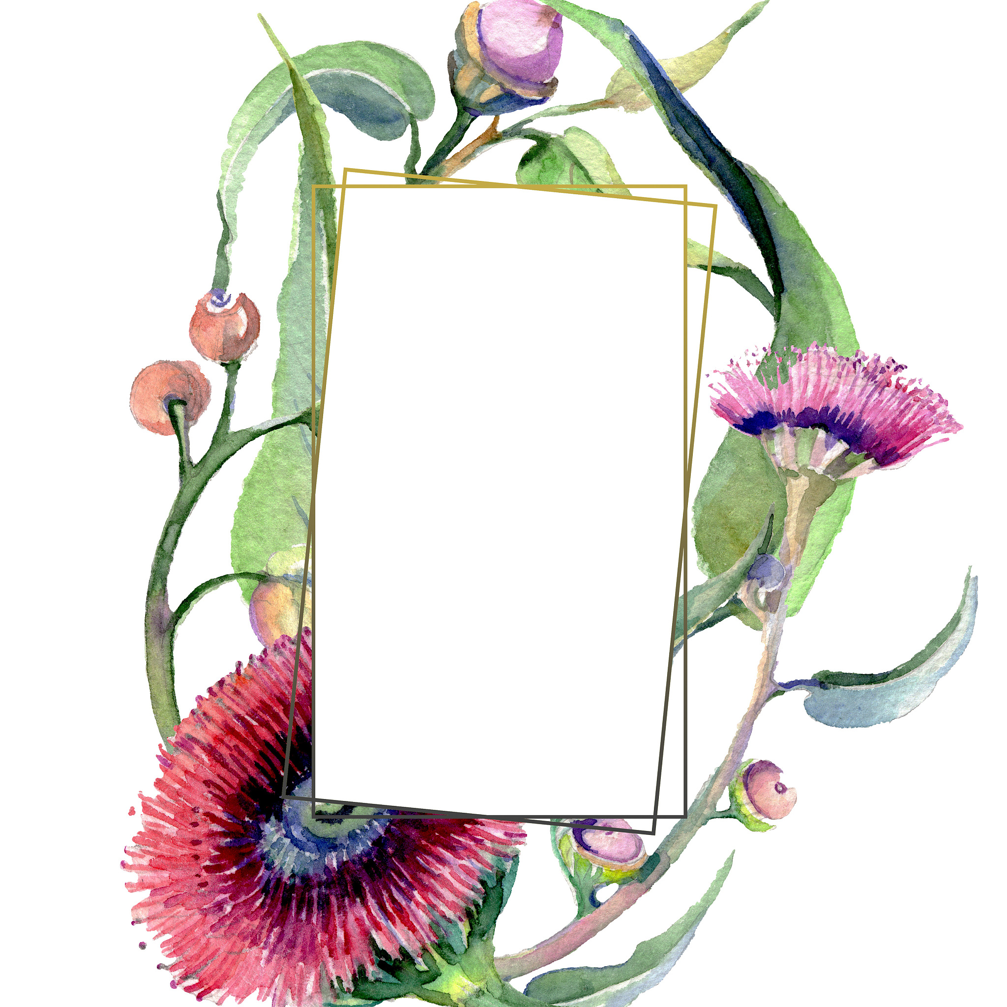 red eucaliptus floral botanical flowers. watercolor background i