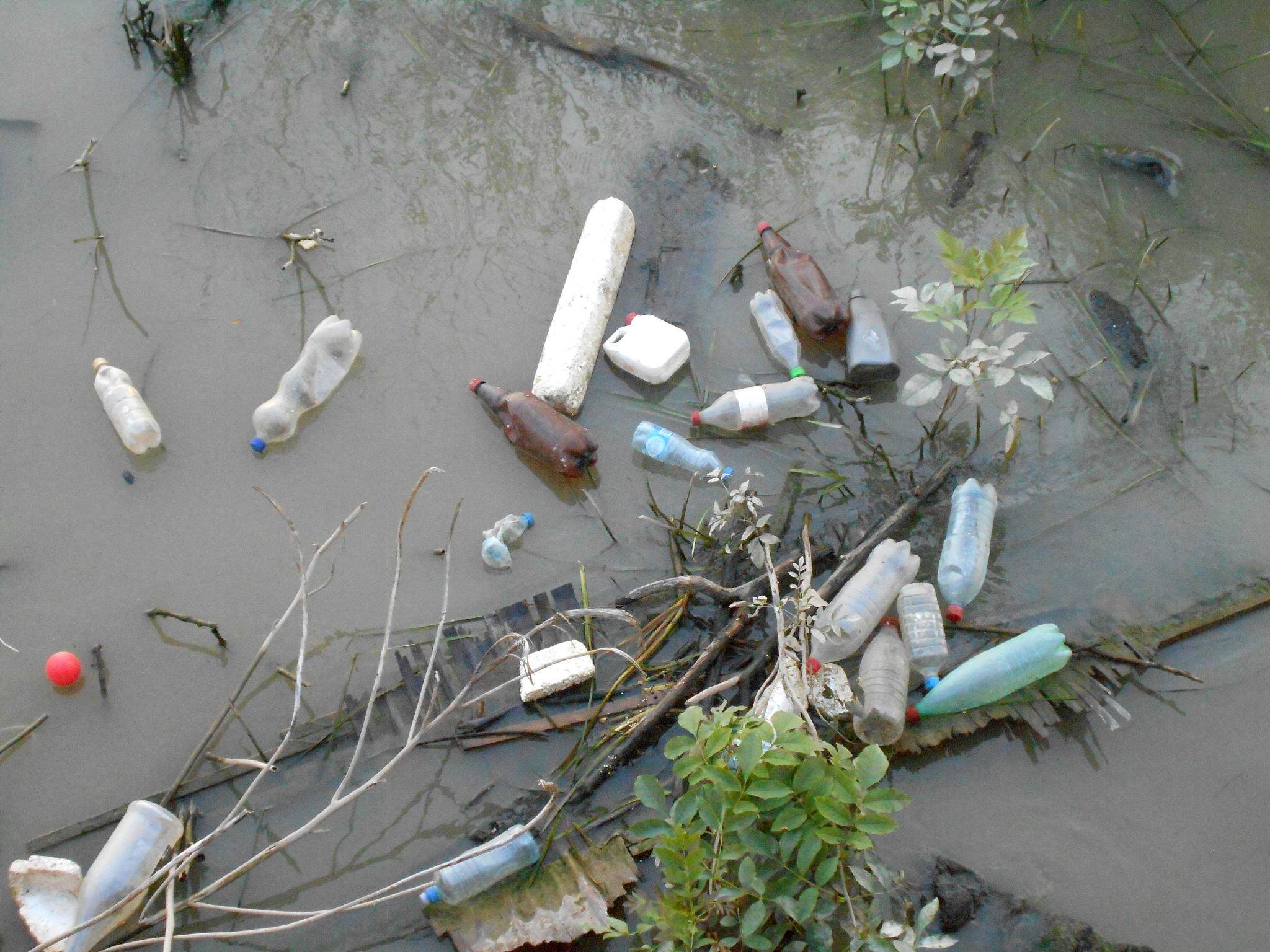 水中溶解氧对水分利用率的影响