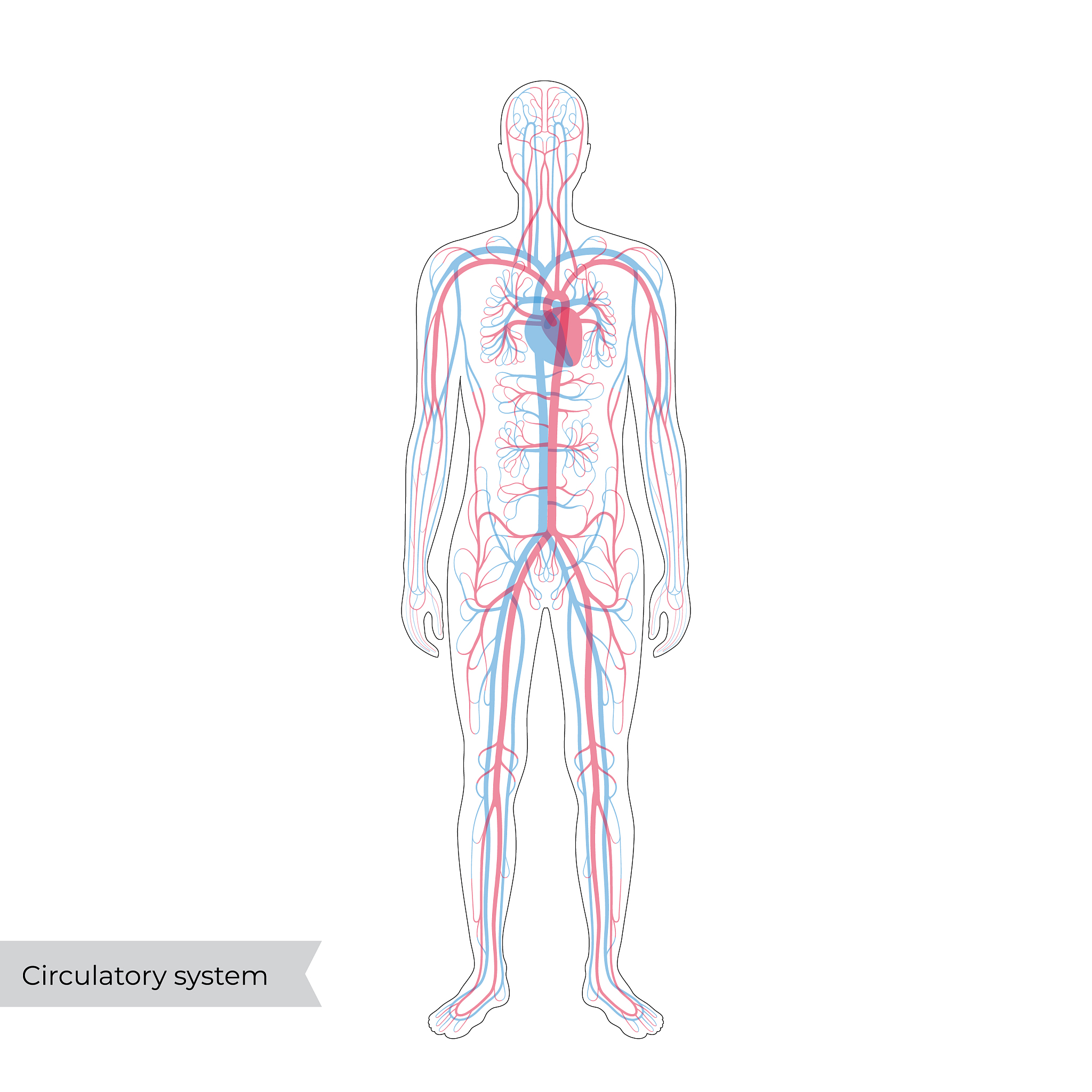 番茄红素软胶囊功效与作用：抗氧化、护肤、护眼、养心