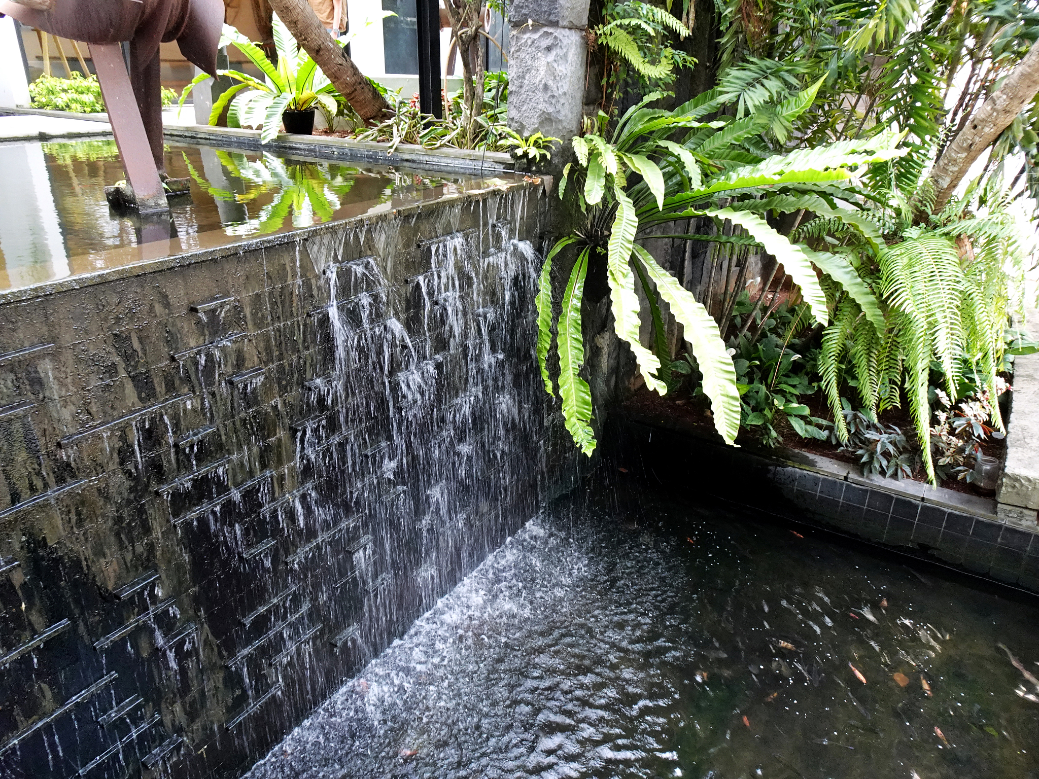 give me an article about typical rainwater harvesting system
